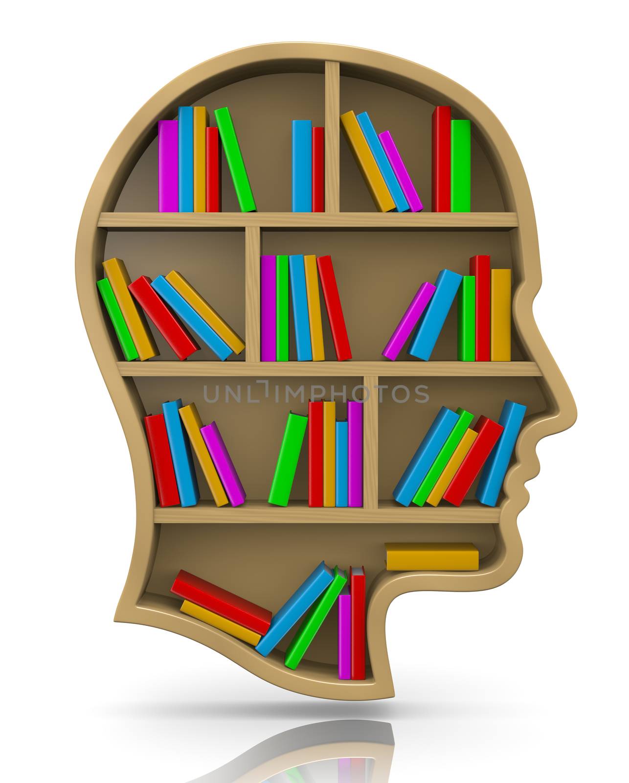 Wood Bookshelf in the Shape of Human Head Illustration, Knowledge Concept