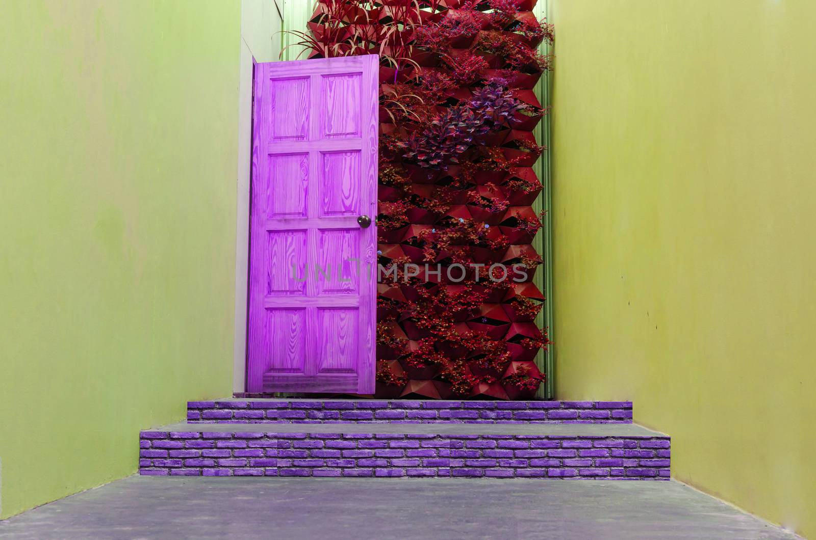 Beautiful Hidden Painted Peeling Door to Home.