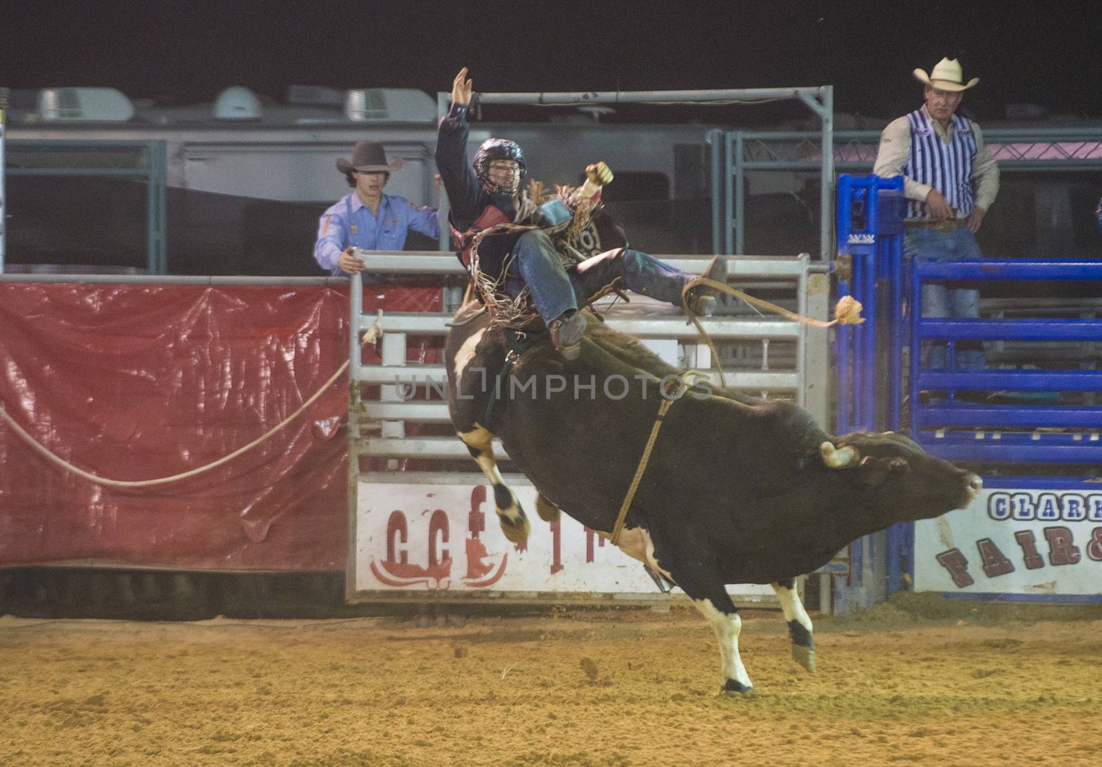 LOGANDALE , NEVADA - APRIL 10 : Cowboy Participating in a Bull riding Competition at the Clark County Fair and Rodeo a Professional Rodeo held in Logandale Nevada , USA on April 10 2014 