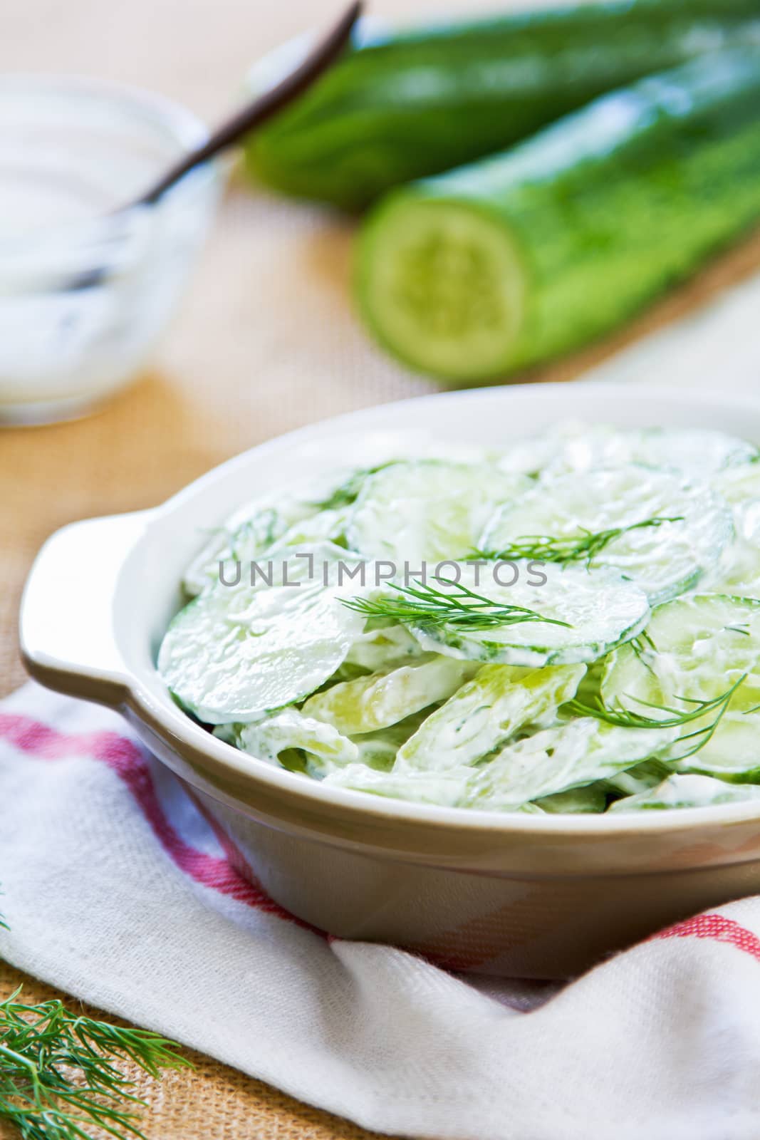 Cucumber with Celery and Dill salad by vanillaechoes