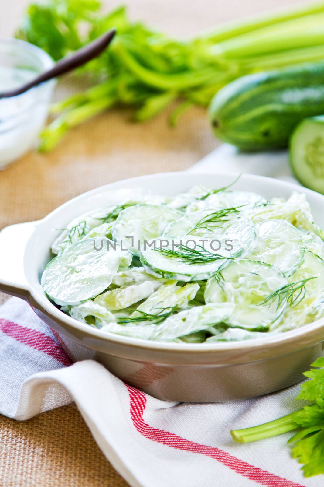 Cucumber with Celery and Dill salad by vanillaechoes