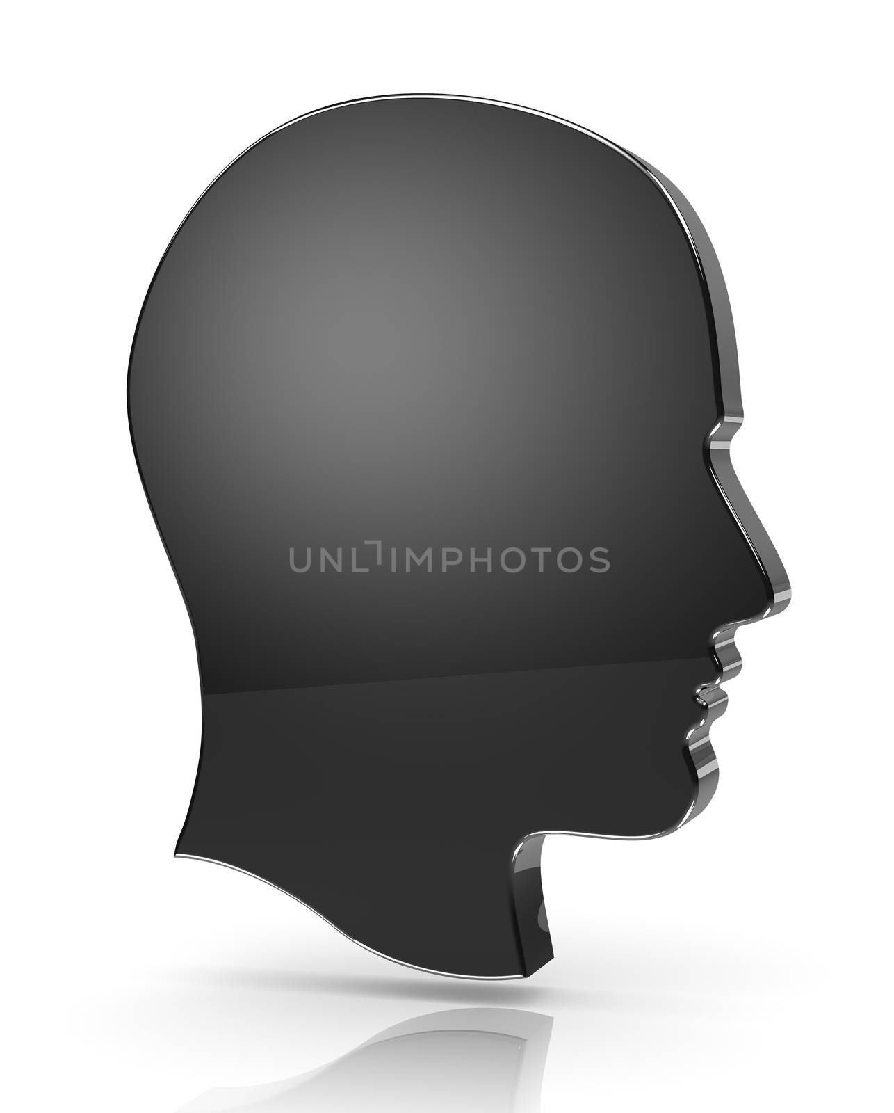 Man Head Profile 3D Silhouette on White Background with Reflection