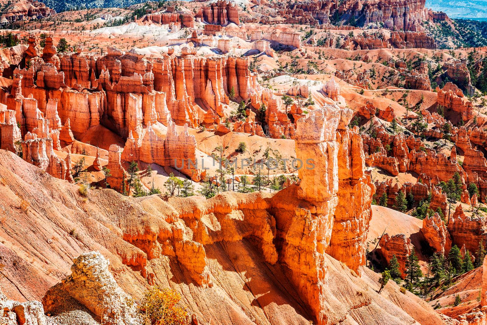 spectacular Hoodoo rock spires of Bryce Canyon, Utah, USA