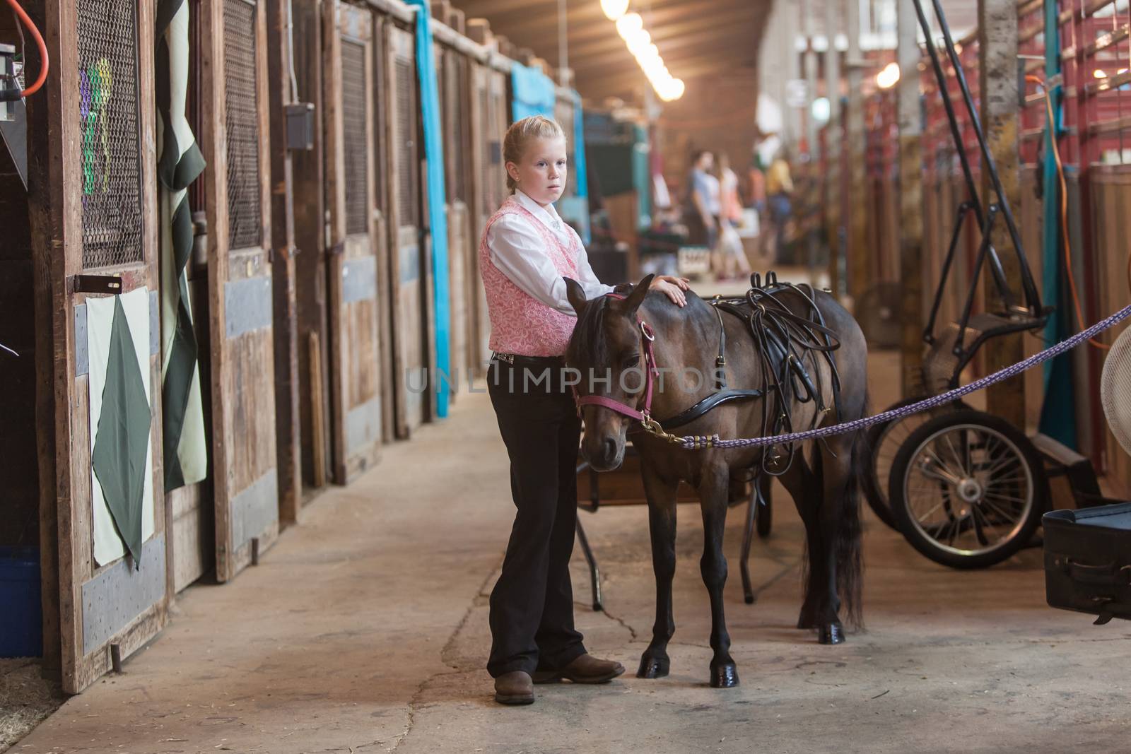 DES MOINES, IA /USA - AUGUST 10: Unidentified girl with minitature horse at Iowa State Fair on August 10, 2014 in Des Moines, Iowa, USA.