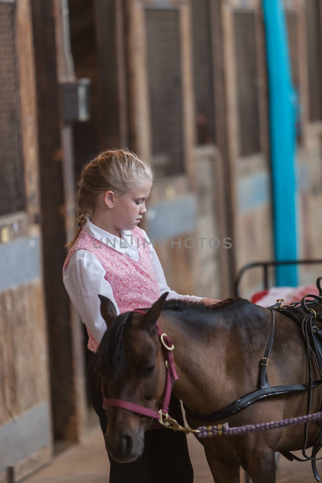 DES MOINES, IA /USA - AUGUST 10: Unidentified girl with miniature horse at Iowa State Fair on August 10, 2014 in Des Moines, Iowa, USA.