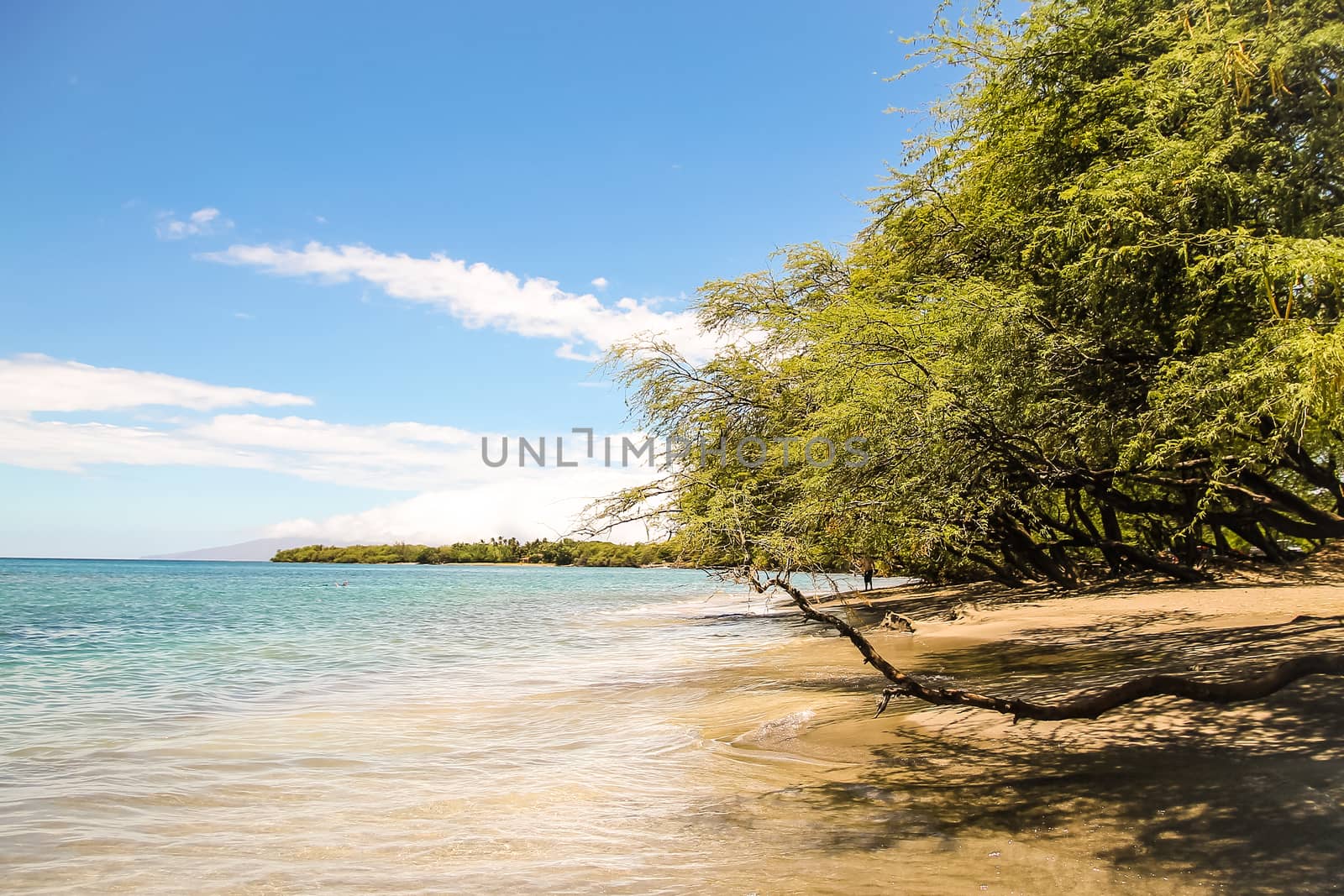 Beautiful Maui beach by Alexanderphoto