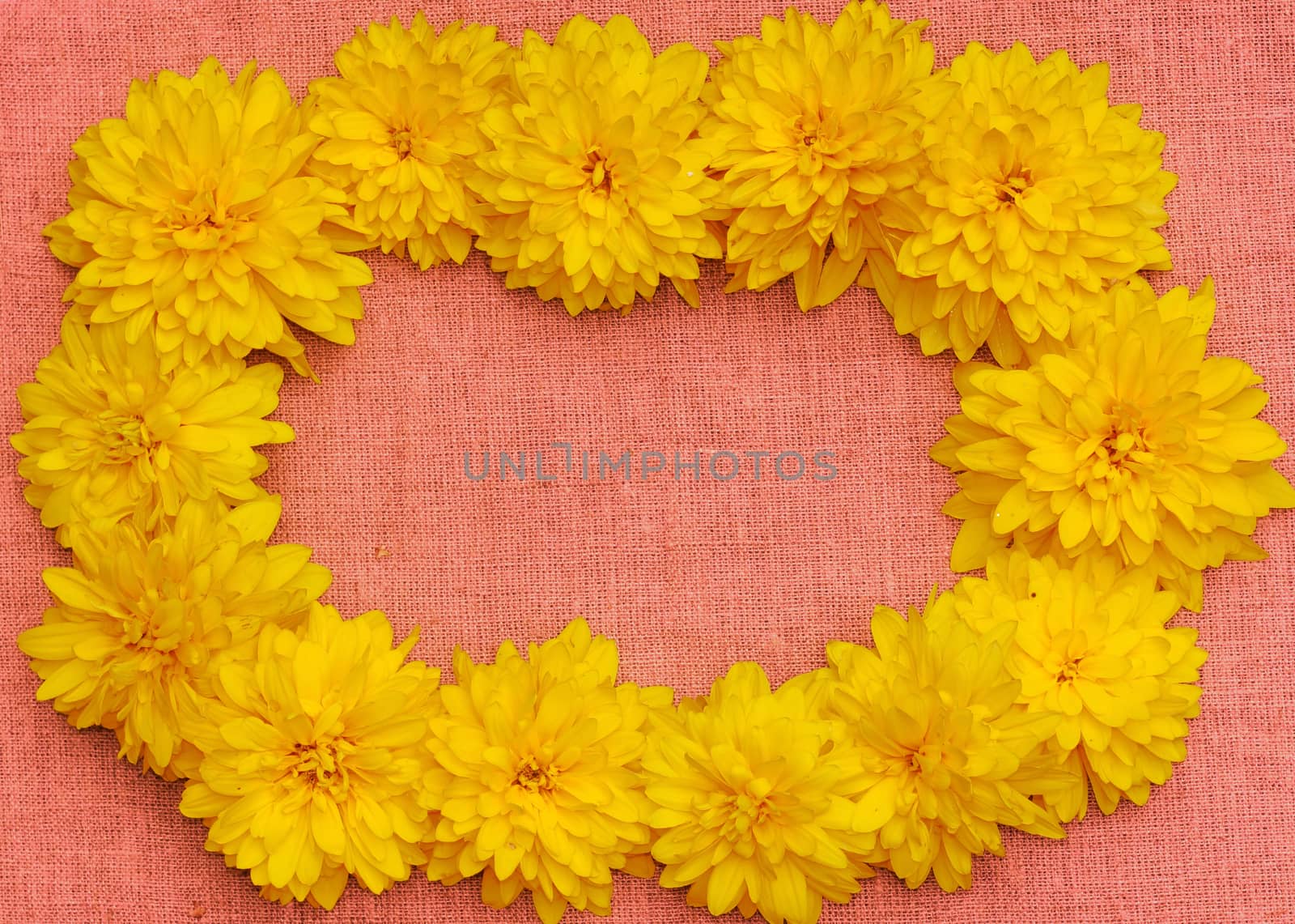 Frame of yellow flowers against a background of pink cloth