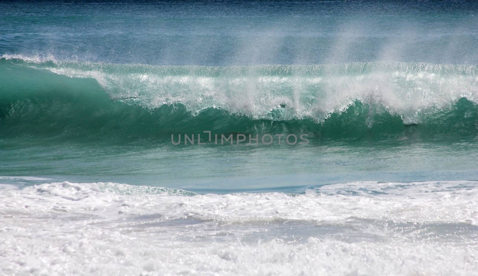 Big ocean wave breaking the shore
