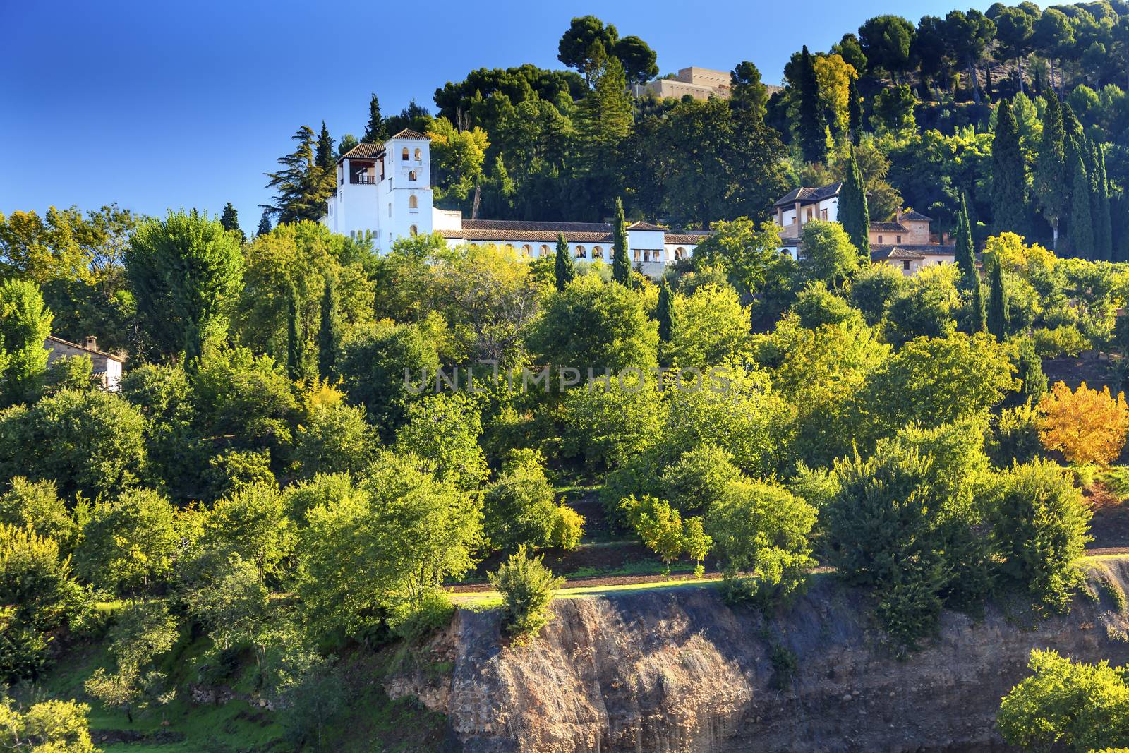 Generallife Alhambra White Palace Trees Garden Granada Andalusia Spain