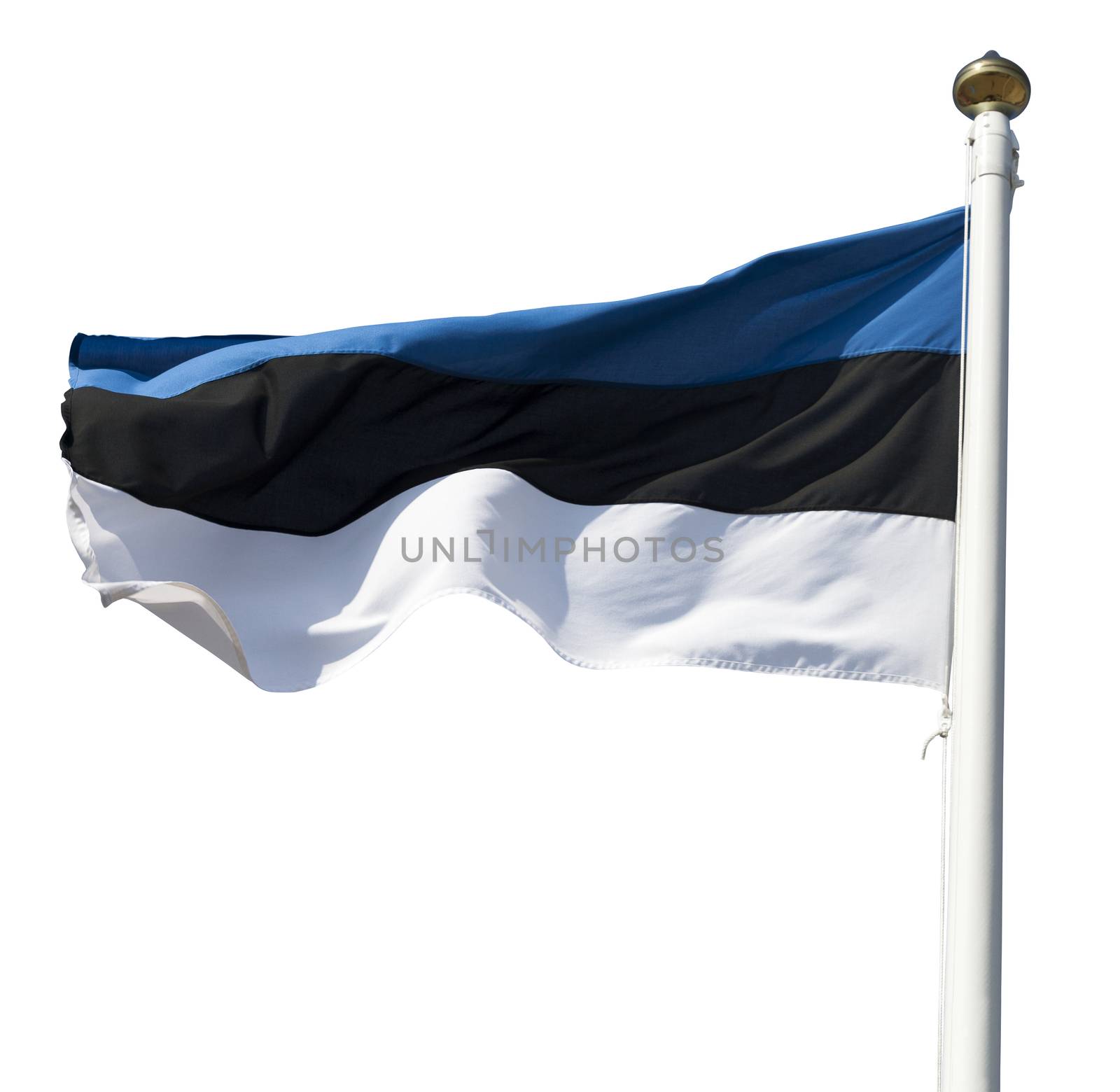 Estonia flag flying in the wind, deep blue sky