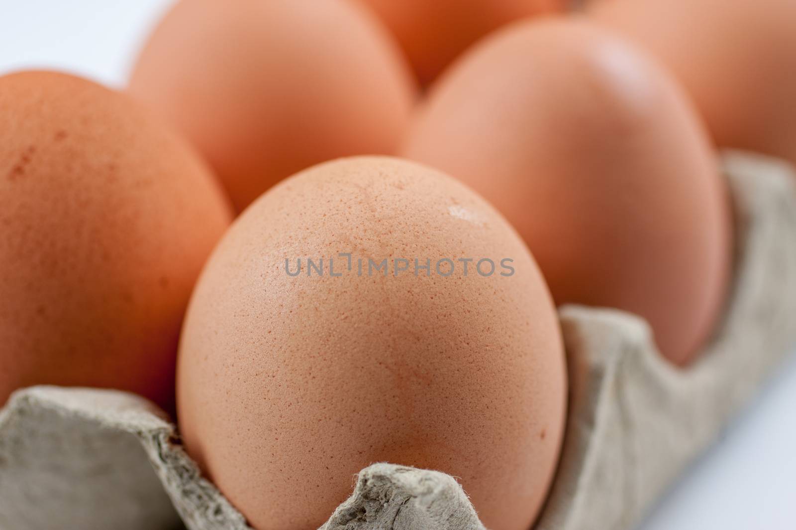 Farm Fresh Eggs by SouthernLightStudios