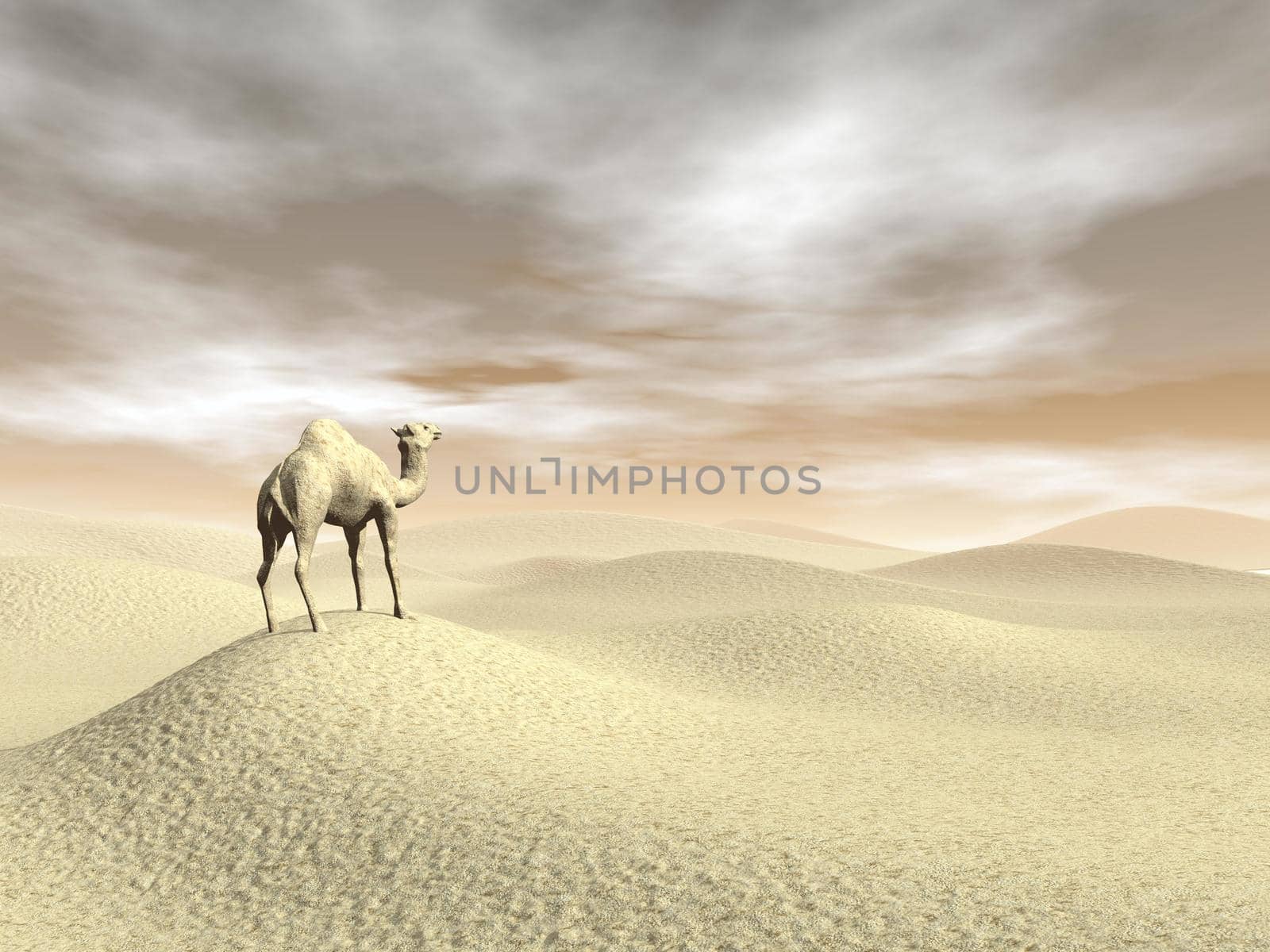 Camel standing in the desert by brown sunset - 3D render