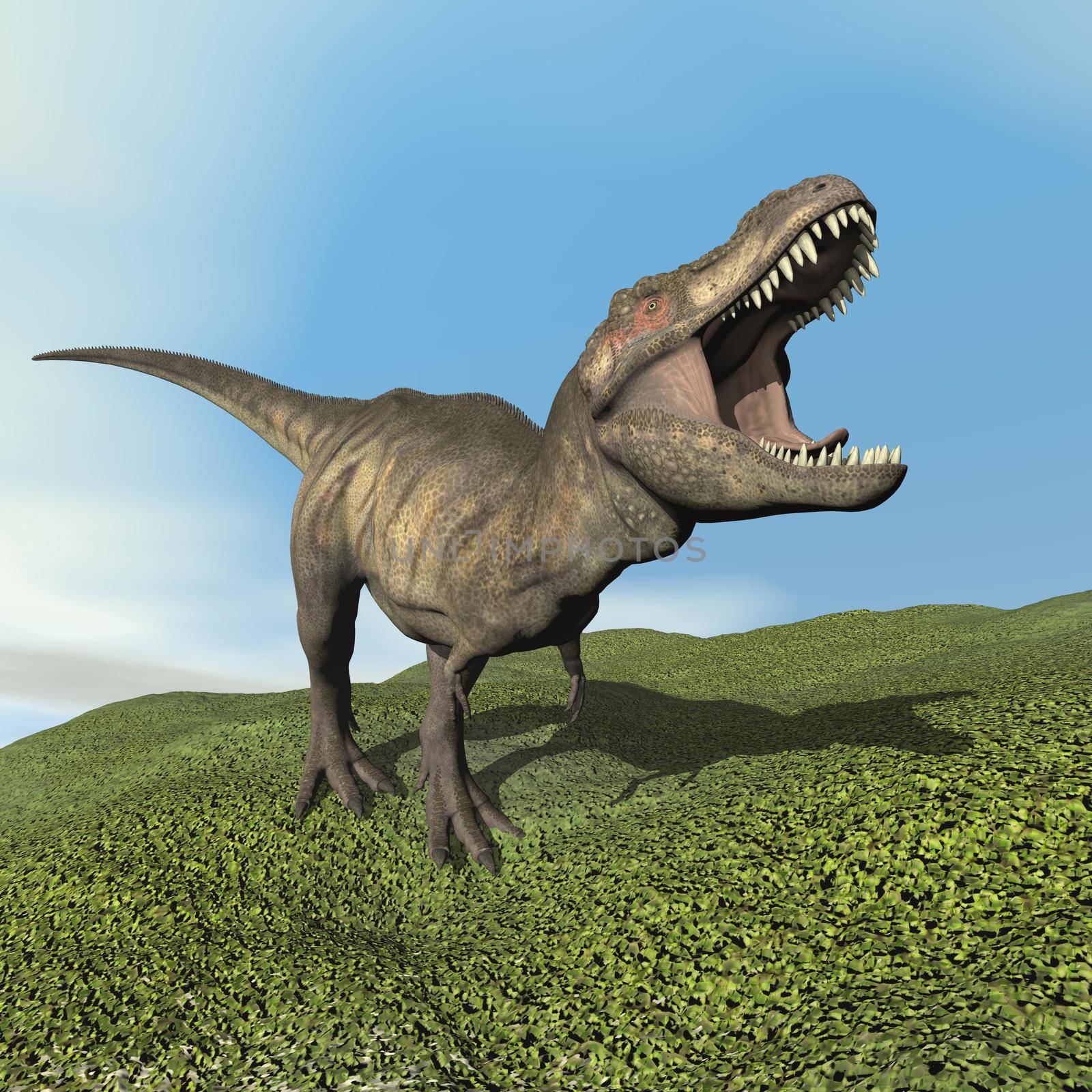 Tyrannosaurus dinosaur walking on the grass by day - 3D render