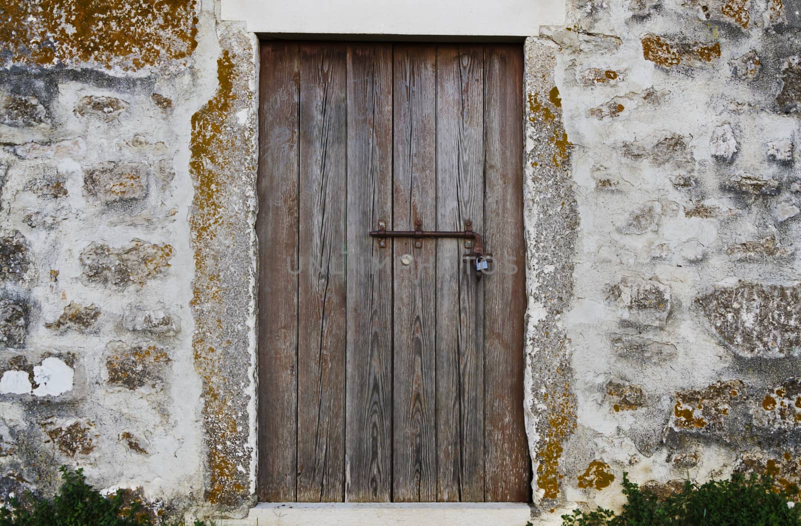 old wooden door by Grufnar