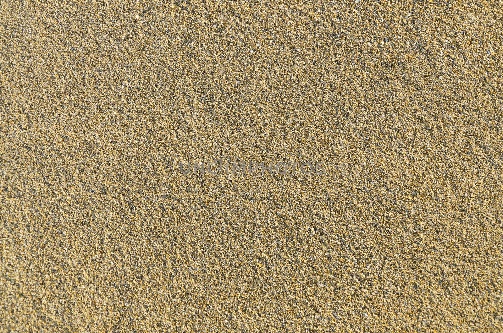 brown empty beach sand surface texture background