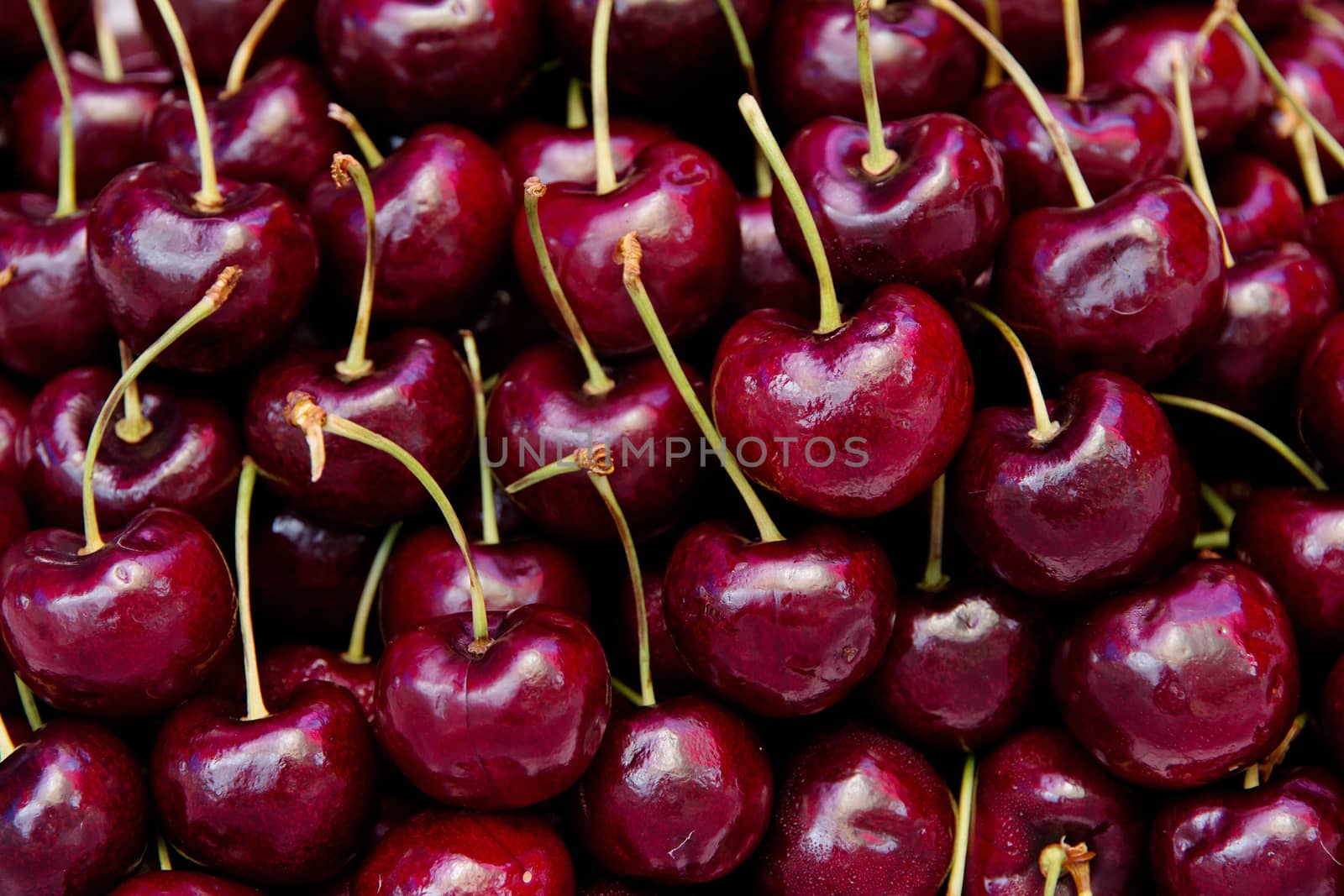 fresh cherries background