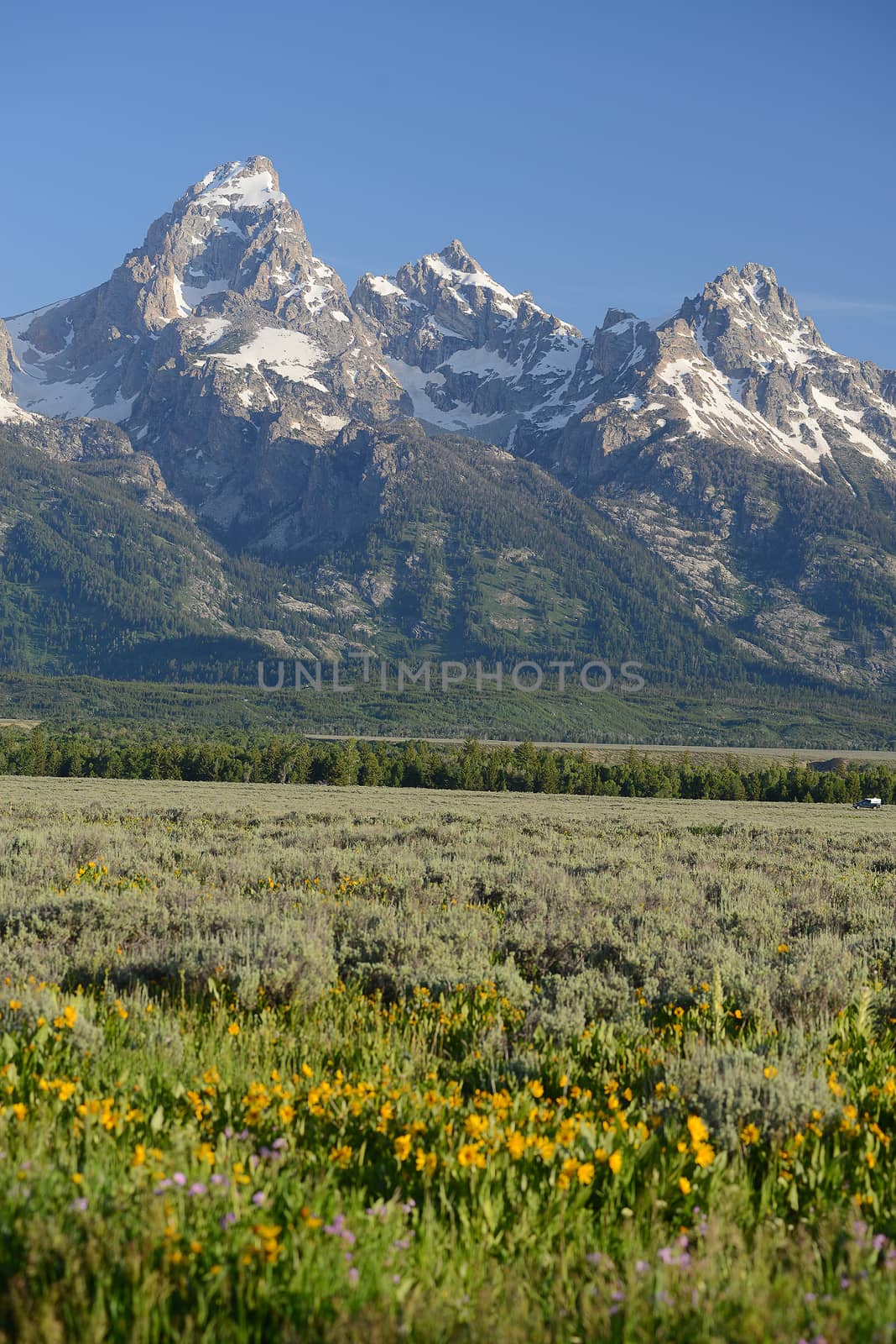 grand teton peaks with snow cap in wyoming