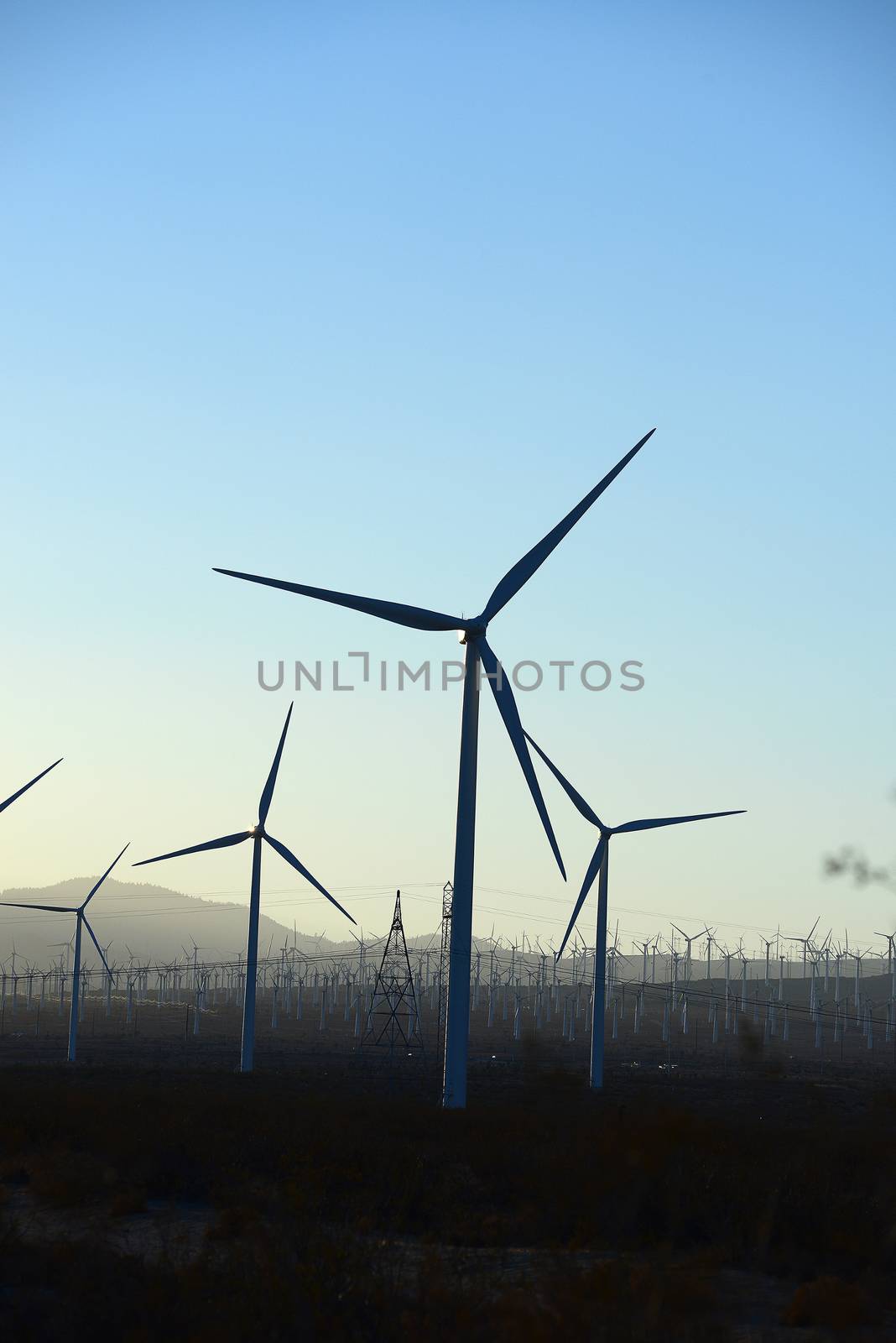 wind mill farm in california desert