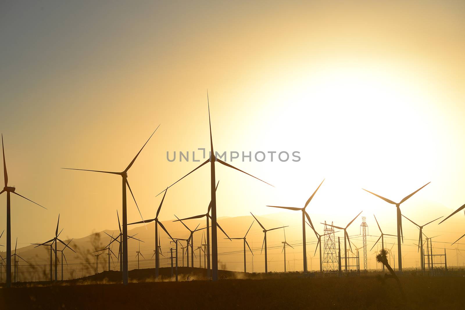 wind farm by porbital