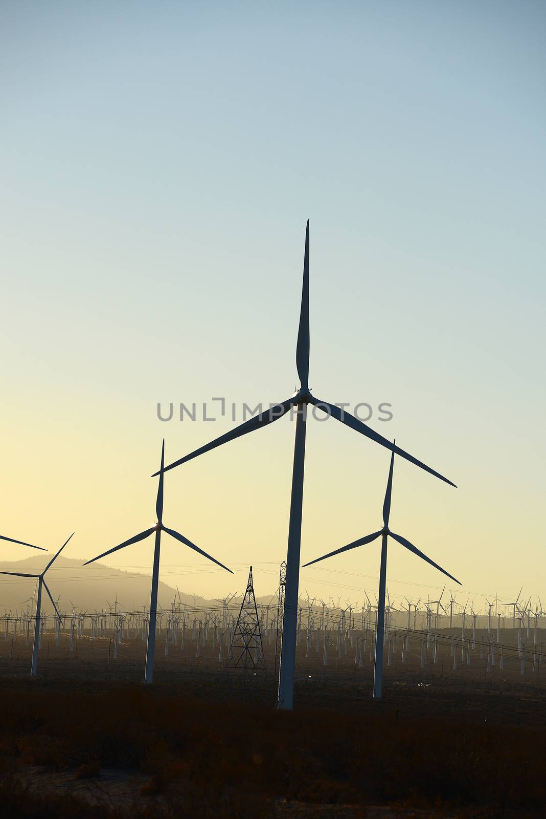 wind mill farm in california desert
