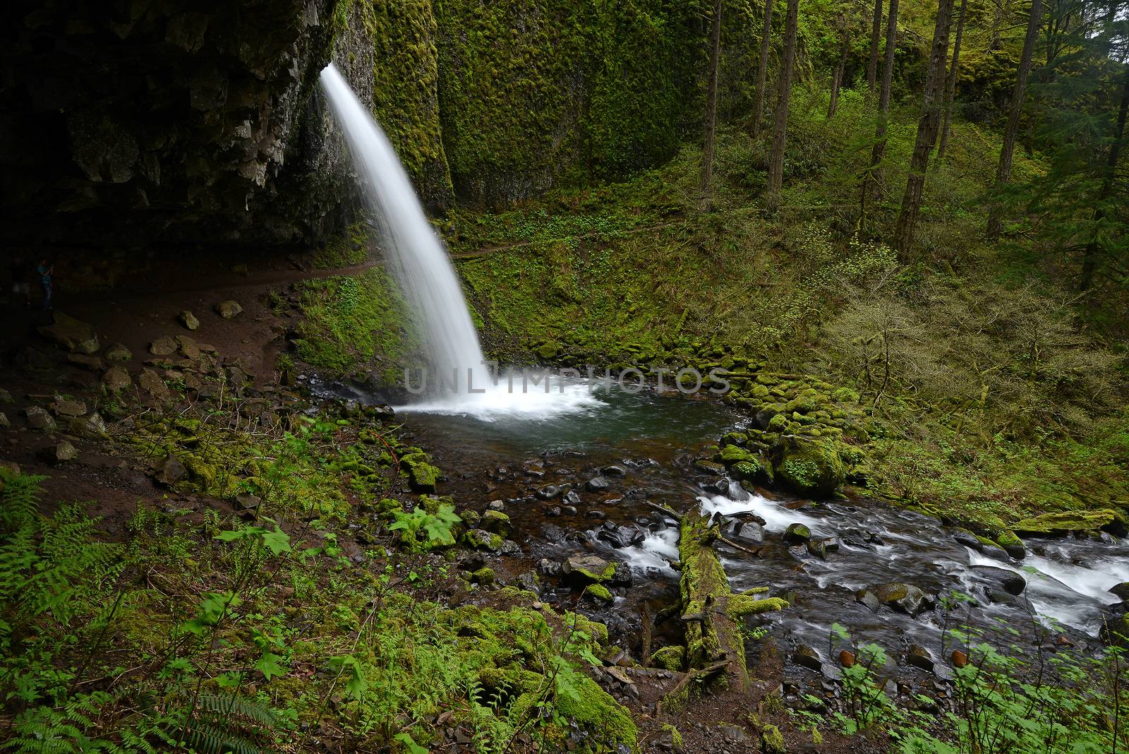 waterfall in oregon