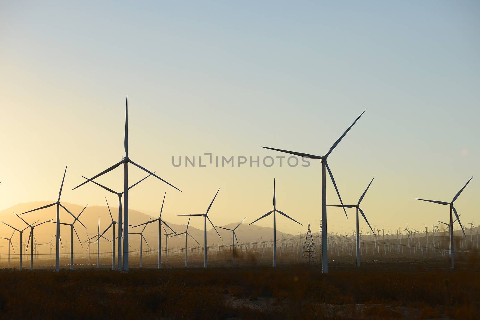 wind mill farm in california desert