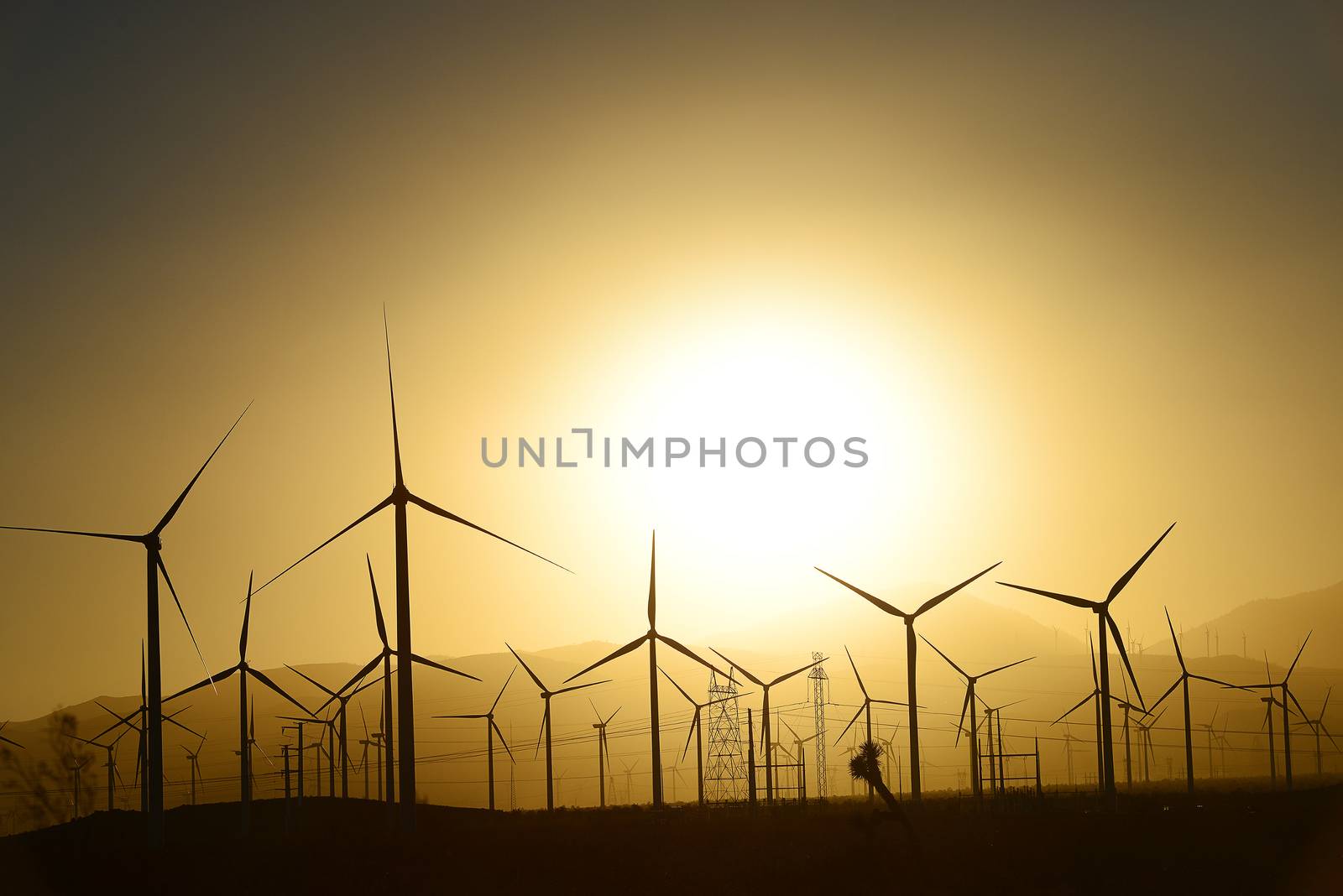 wind farm by porbital