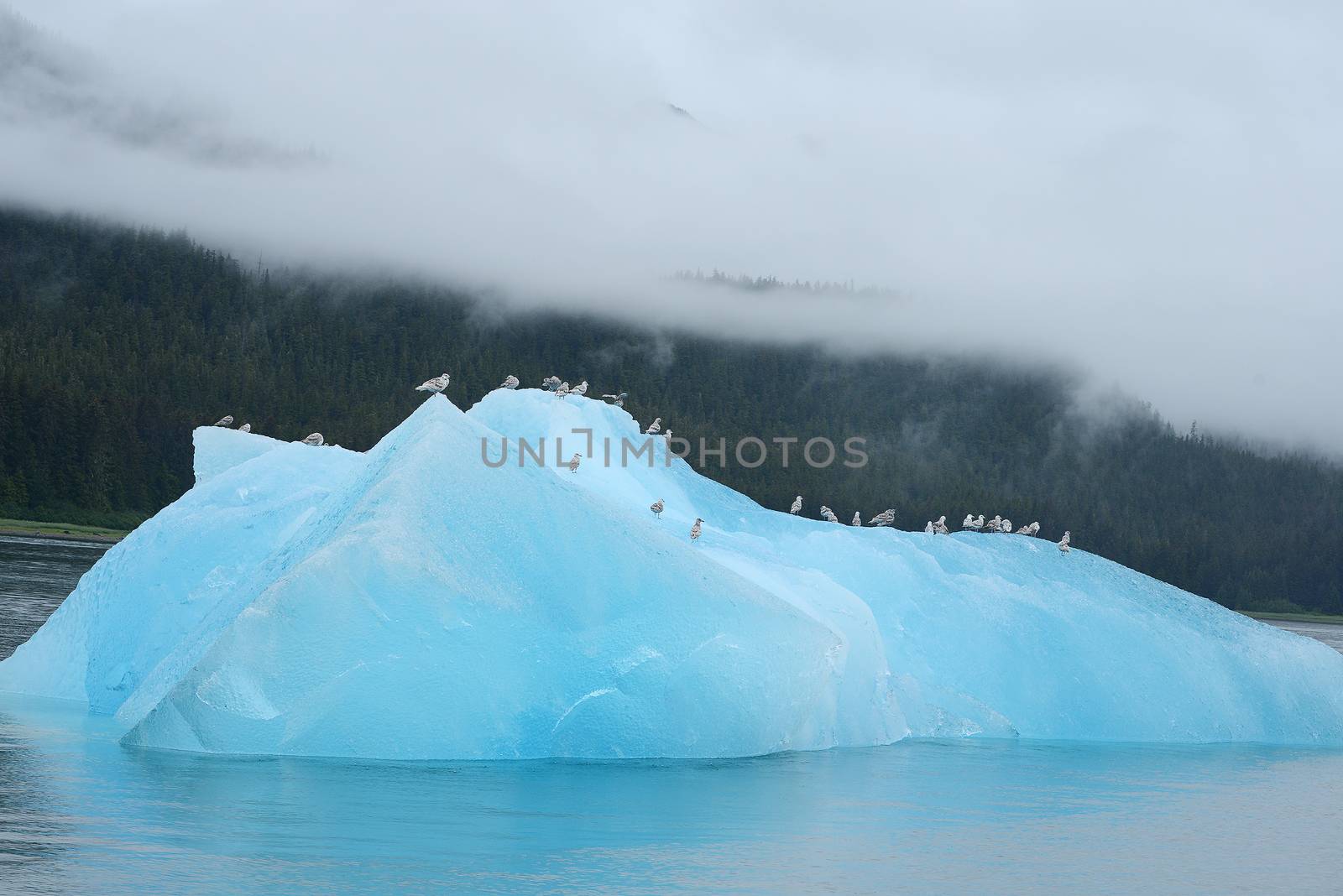 blue iceberg by porbital