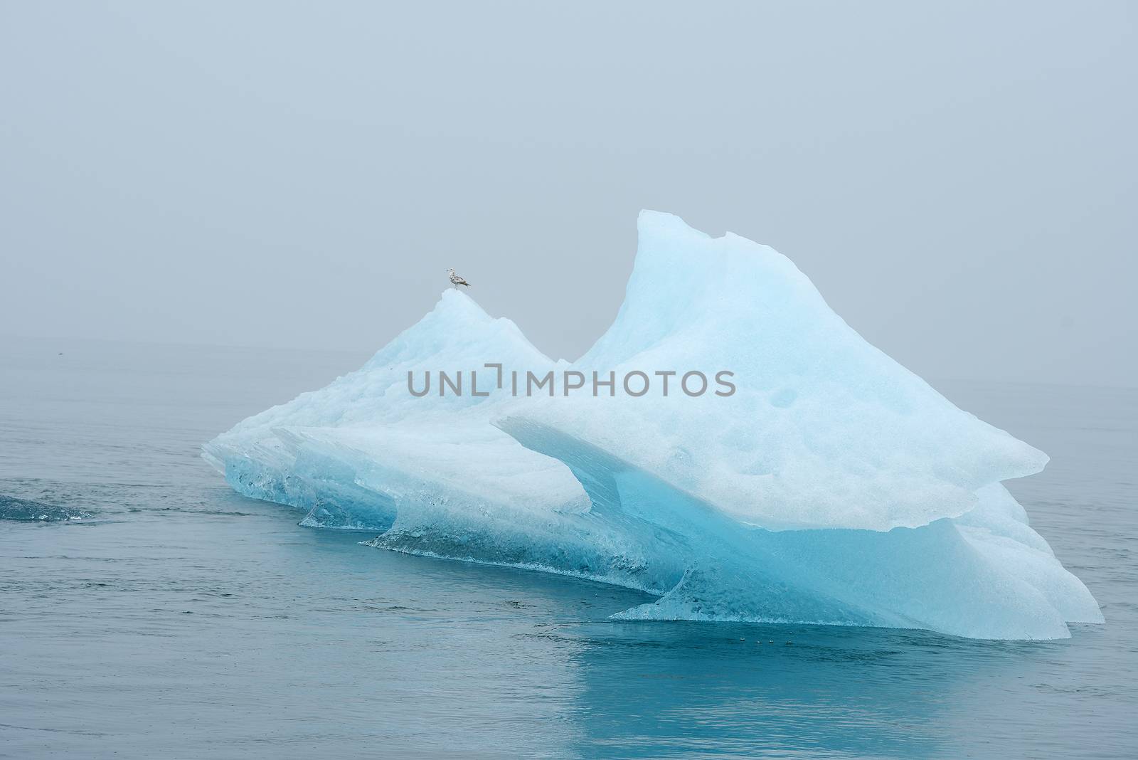 blue iceberg floating in alaska