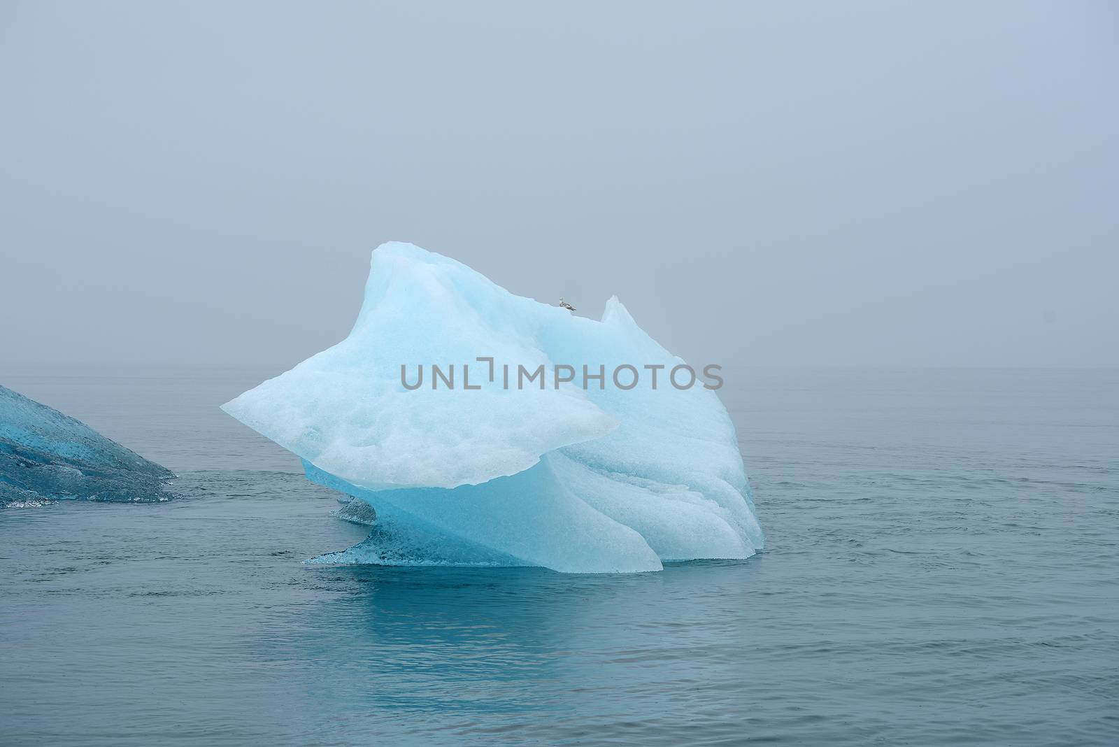 blue iceberg floating in alaska