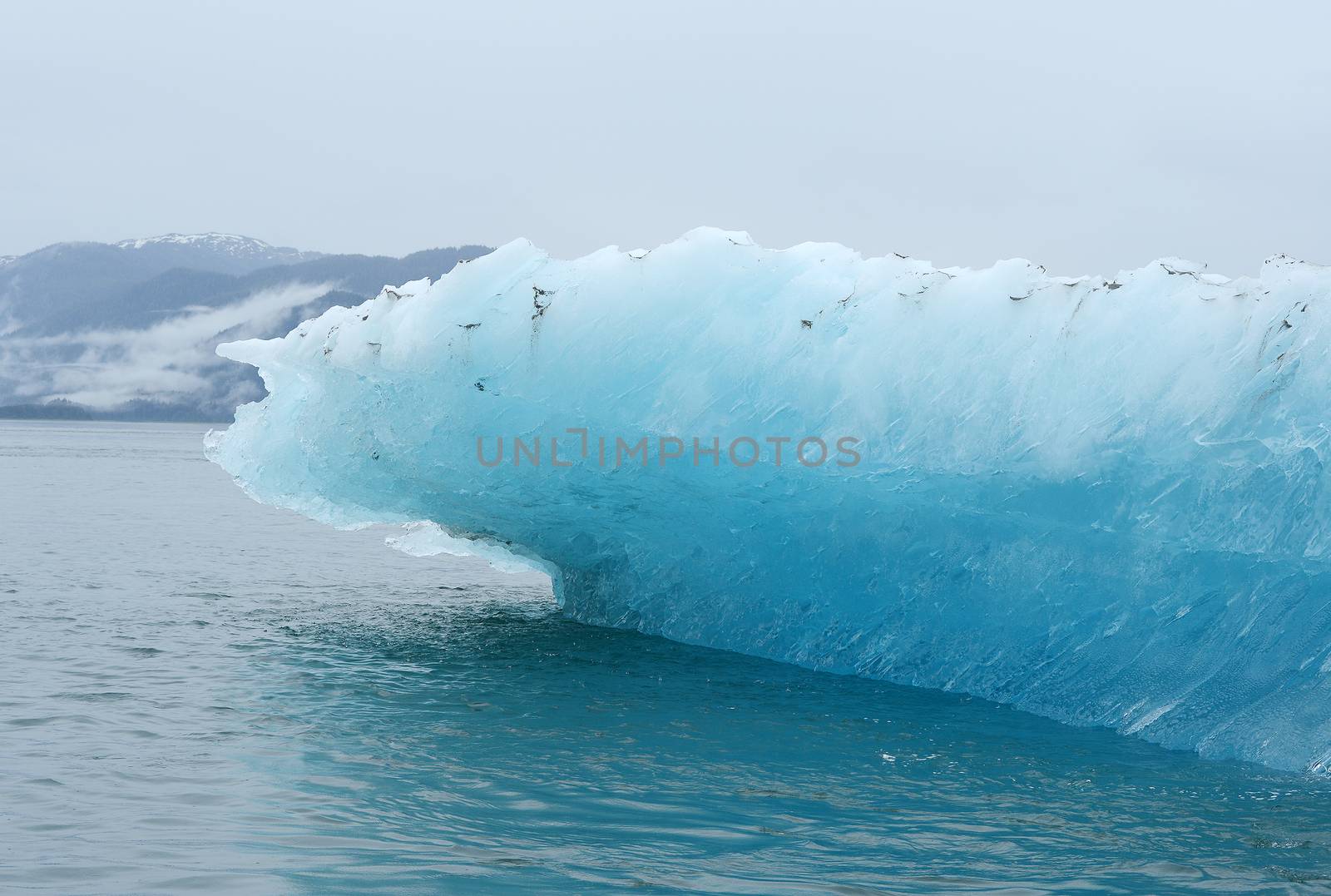 blue iceberg floating in alaska