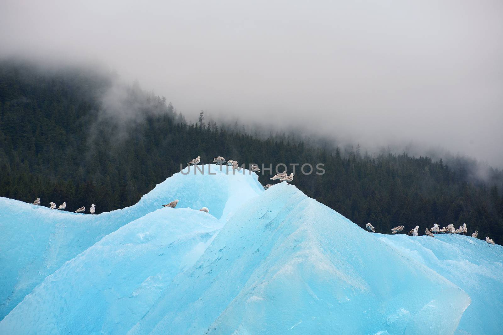 blue iceberg by porbital