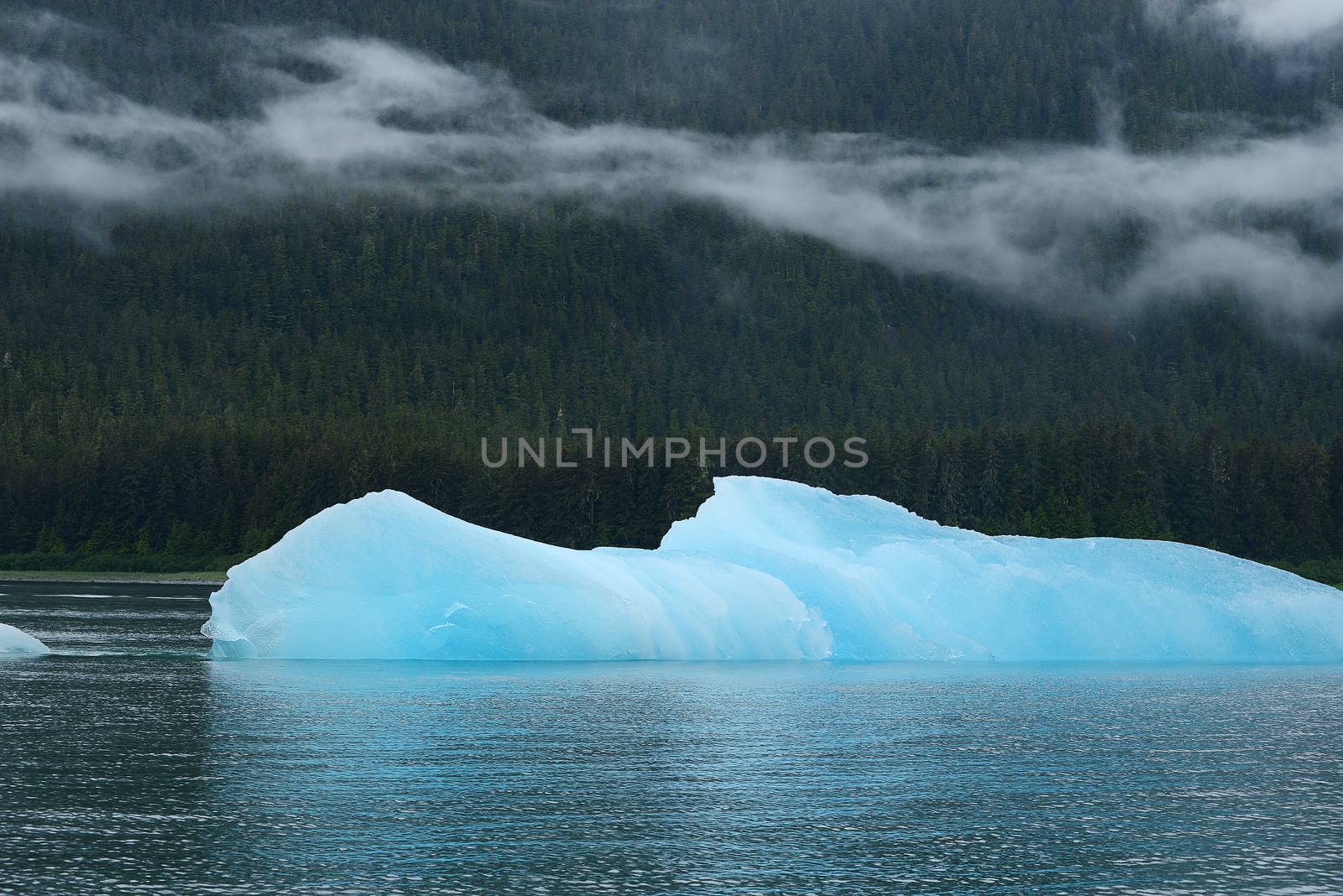 blue iceberg floating in alaska