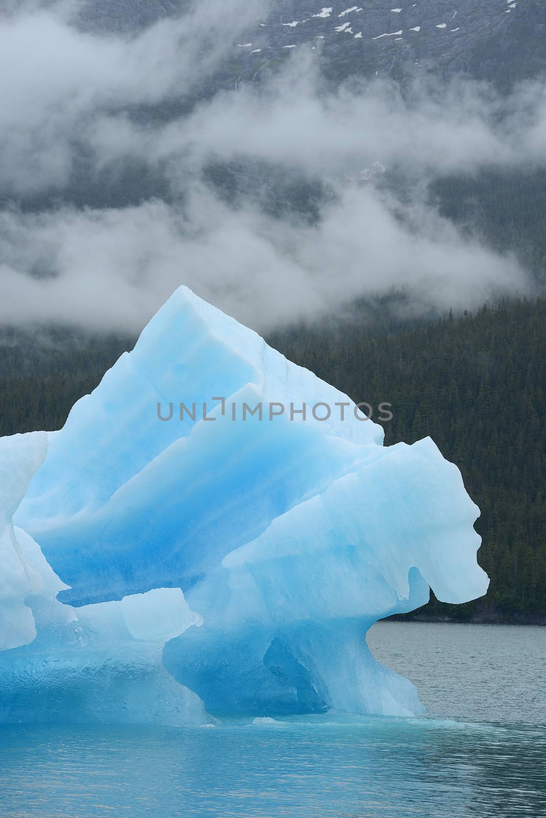 blue iceberg floating in alaska