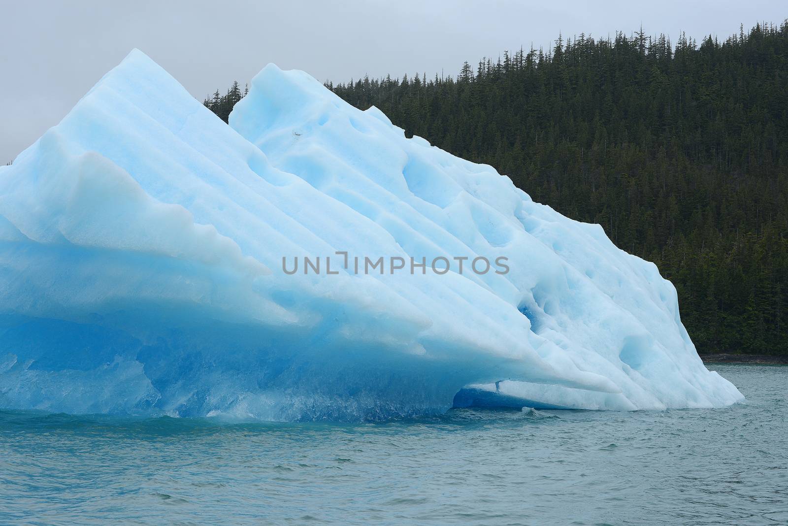 blue iceberg floating in alaska