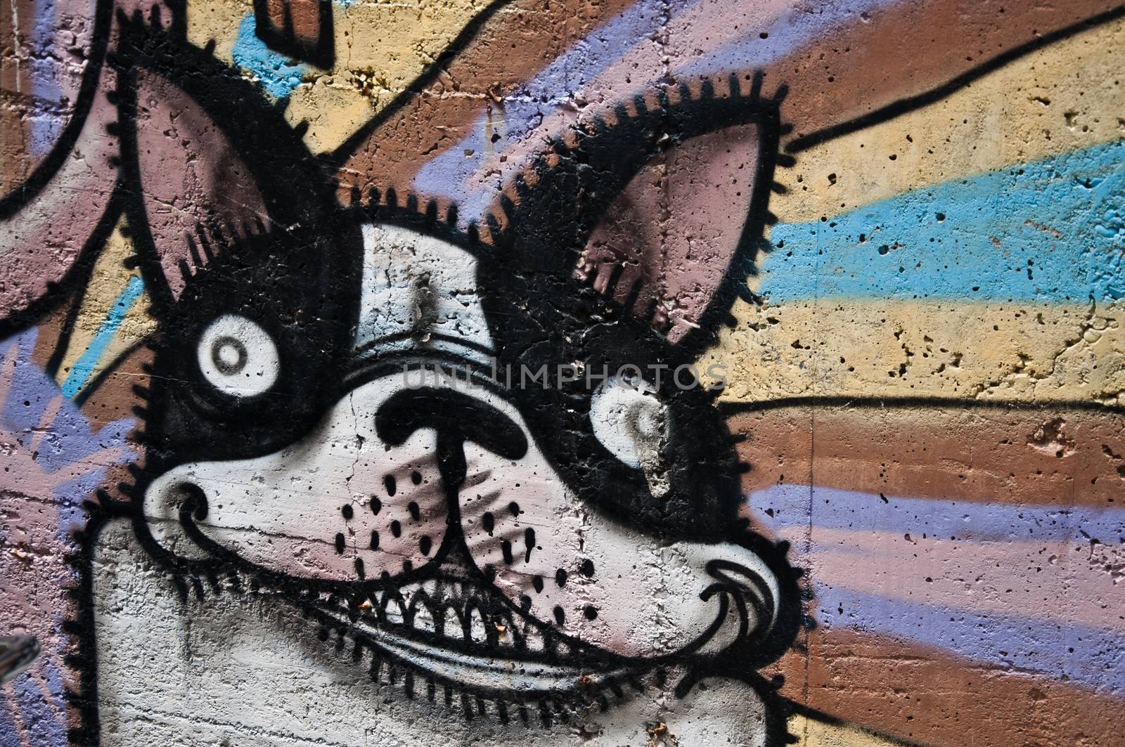 urban art - dog by NeydtStock