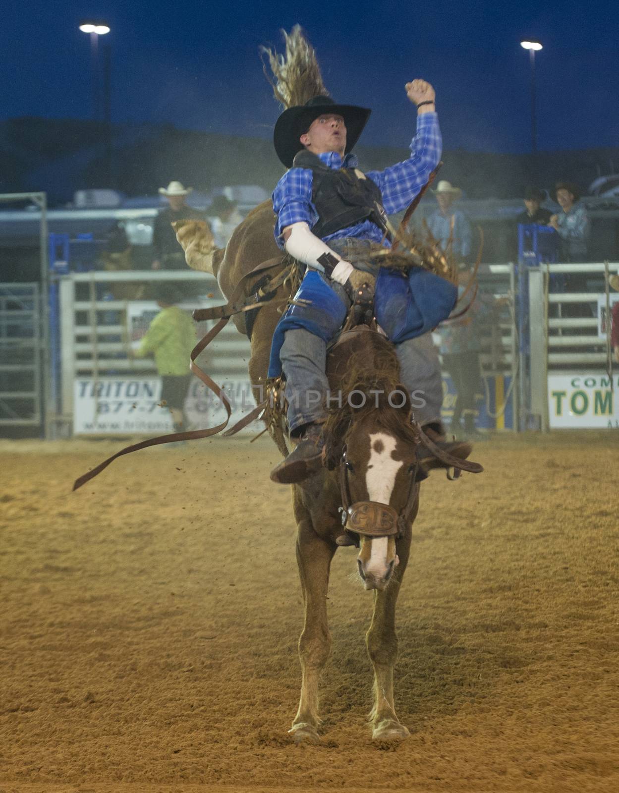 LOGANDALE , NEVADA - APRIL 10 : Cowboy Participating in a Bucking Horse Competition at the Clark County Fair and Rodeo a Professional Rodeo held in Logandale Nevada , USA on April 10 2014 