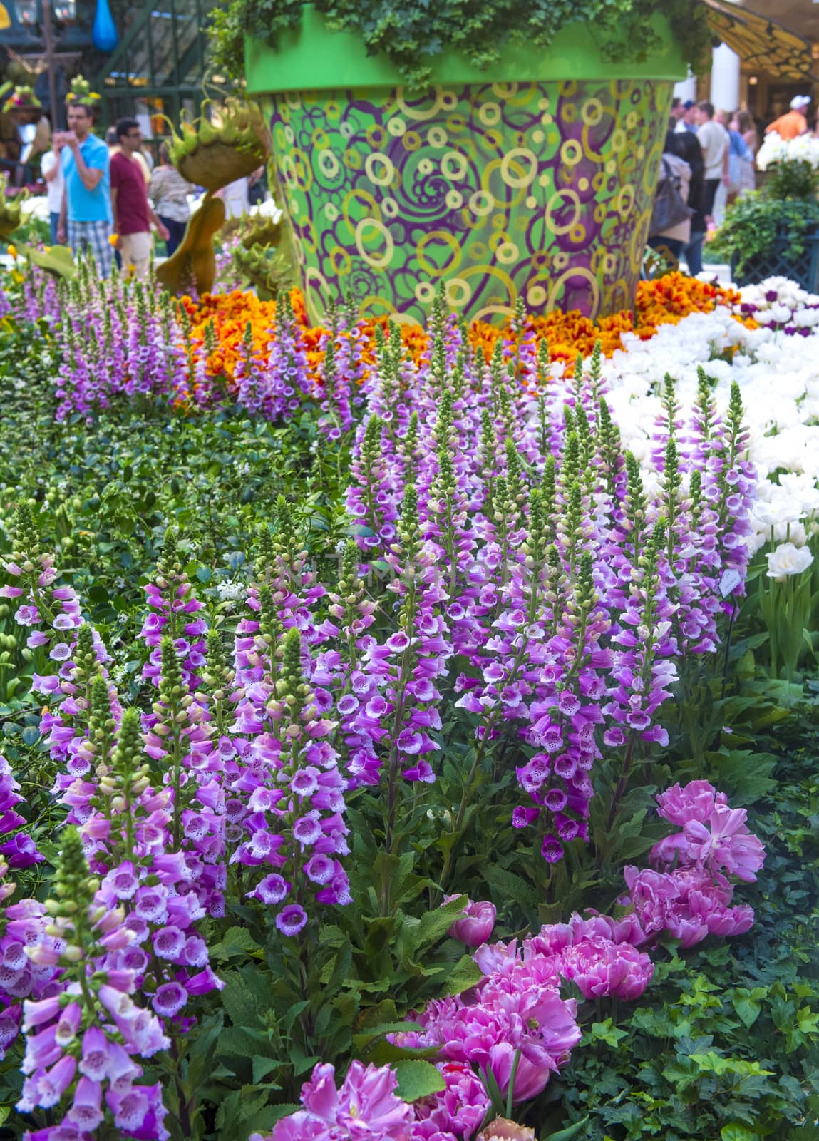 LAS VEGAS - April 11: Spring season in Bellagio Hotel Conservatory & Botanical Gardens on April 11, 2014 in Las Vegas. There are five seasonal themes that the Conservatory undergoes each year.