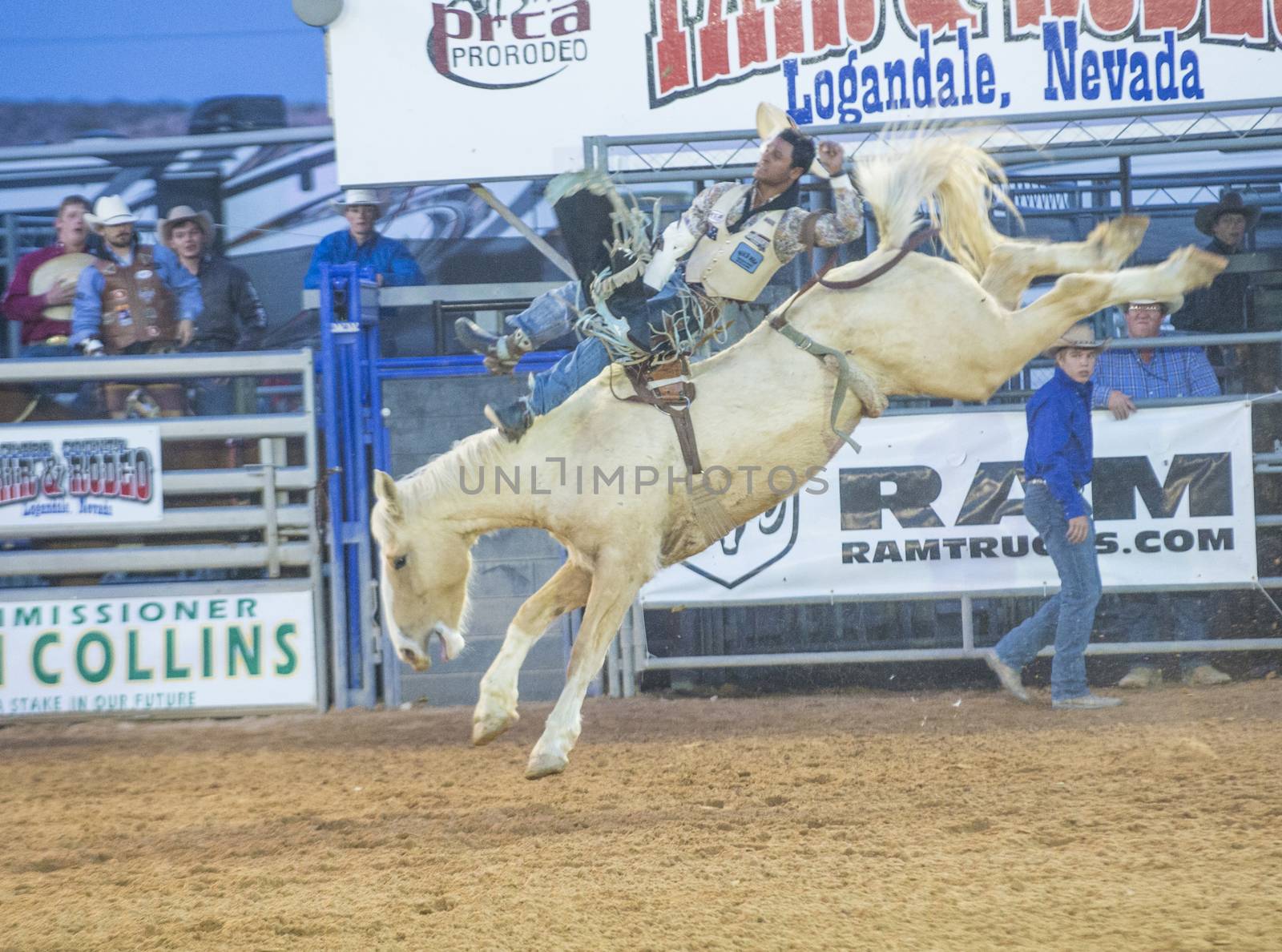 LOGANDALE , NEVADA - APRIL 10 : Cowboy Participating in a Bucking Horse Competition at the Clark County Fair and Rodeo a Professional Rodeo held in Logandale Nevada , USA on April 10 2014 