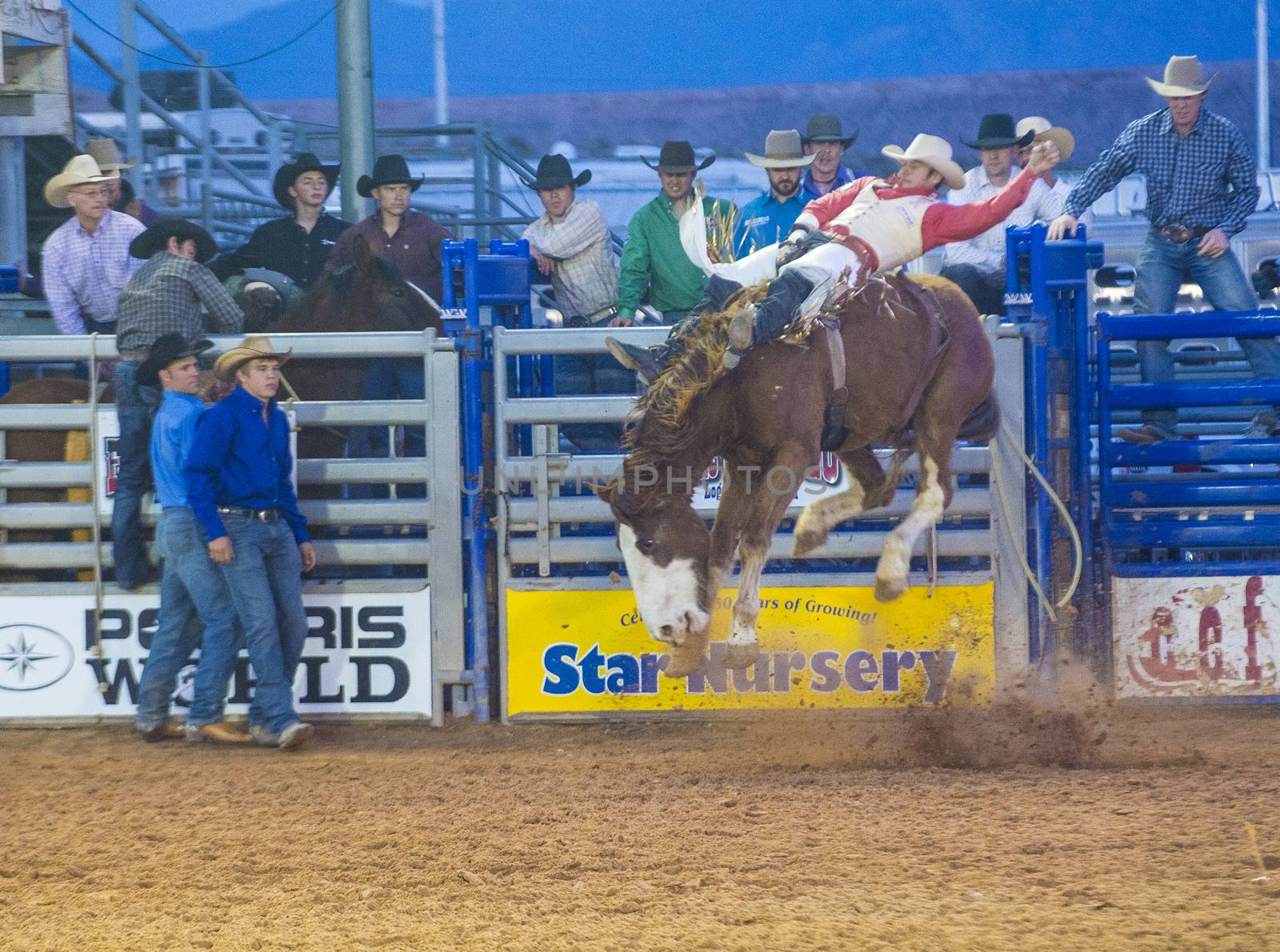 LOGANDALE , NEVADA - APRIL 10 : Cowboy Participating in a Bucking Horse Competition at the Clark County Fair and Rodeo a Professional Rodeo held in Logandale Nevada , USA on April 10 2014 