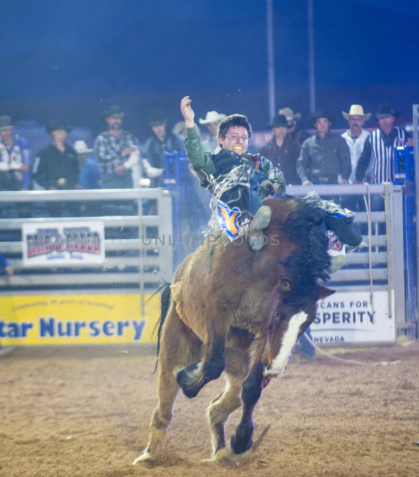 LOGANDALE , NEVADA - APRIL 10 : Cowboy Participating in a Bucking Horse Competition at the Clark County Fair and Rodeo a Professional Rodeo held in Logandale Nevada , USA on April 10 2014 