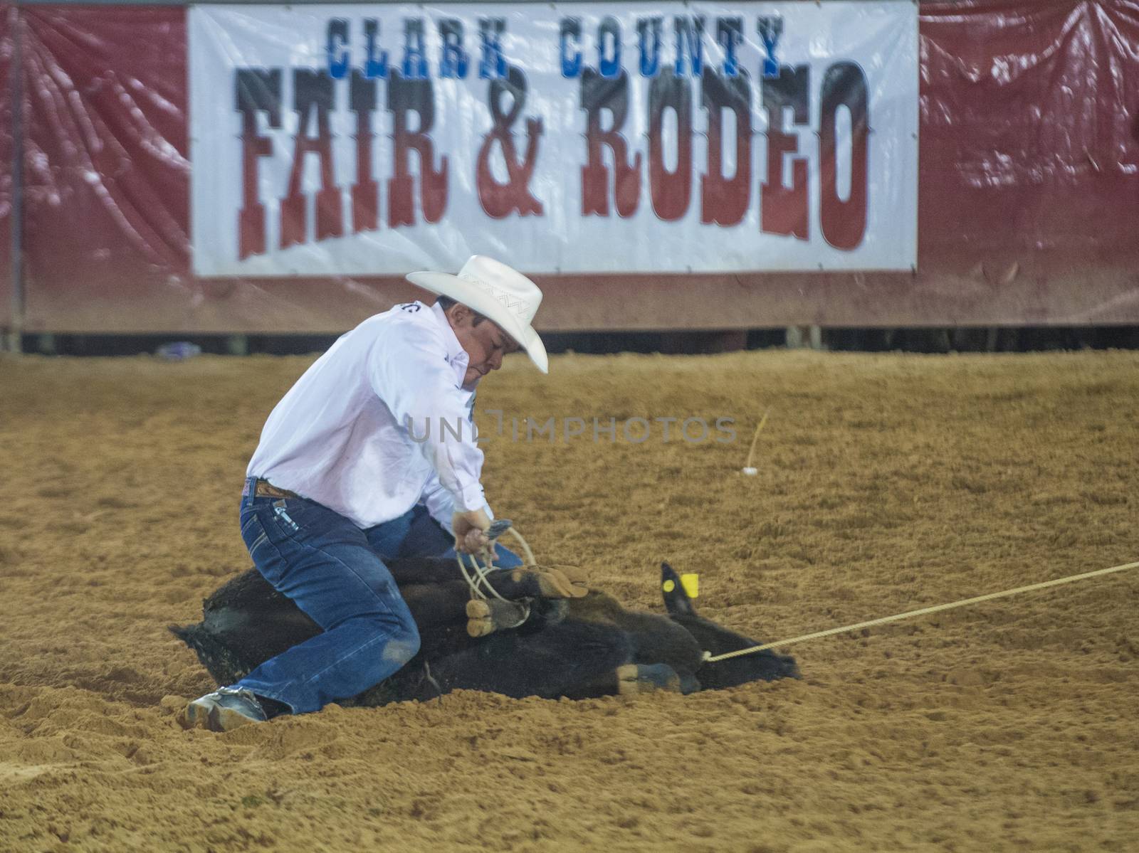Clark County Fair and Rodeo by kobby_dagan