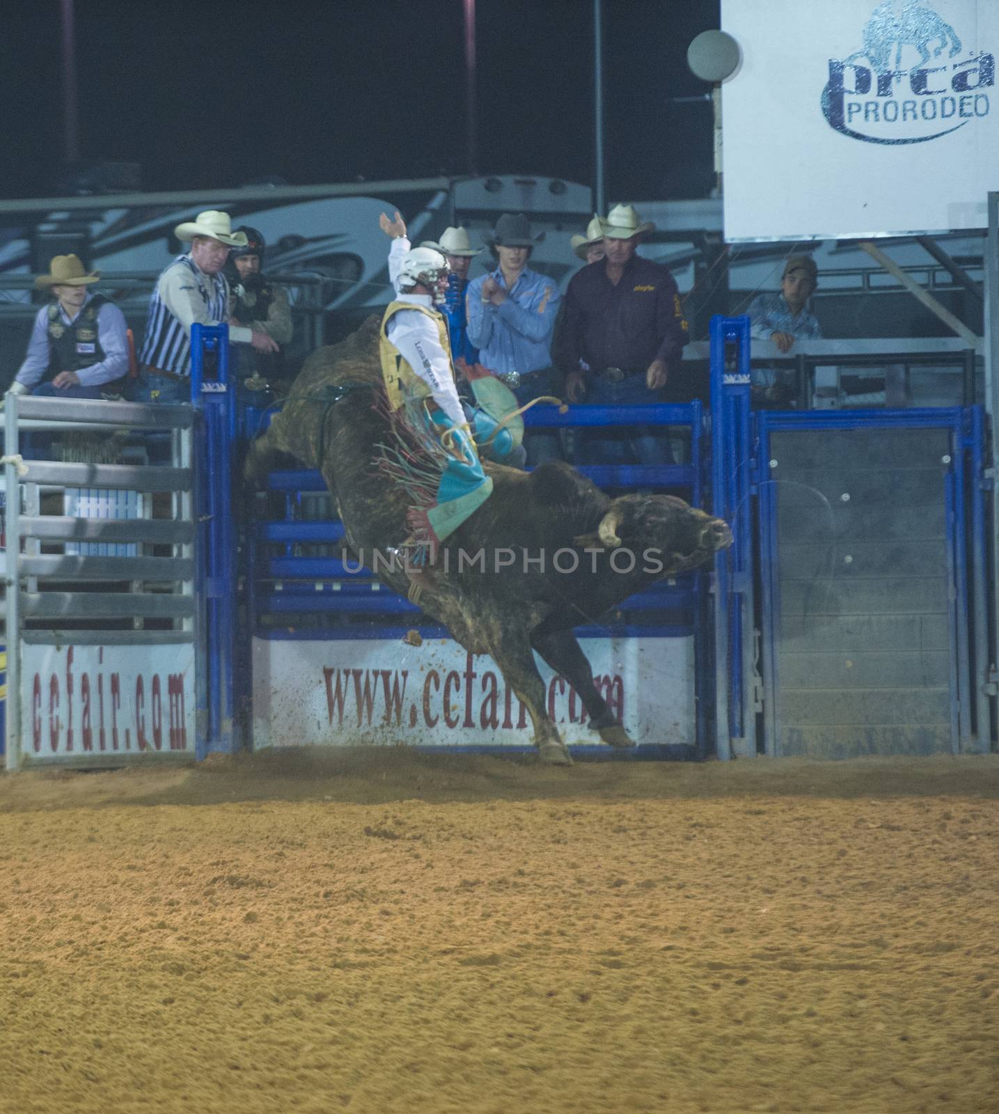 LOGANDALE , NEVADA - APRIL 10 : Cowboy Participating in a Bull riding Competition at the Clark County Fair and Rodeo a Professional Rodeo held in Logandale Nevada , USA on April 10 2014 