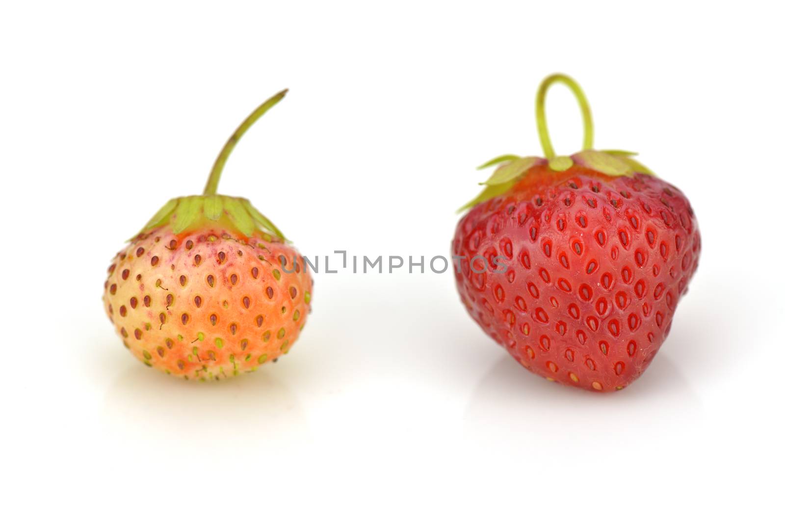 Close-up of two fresh strawberries on white background

