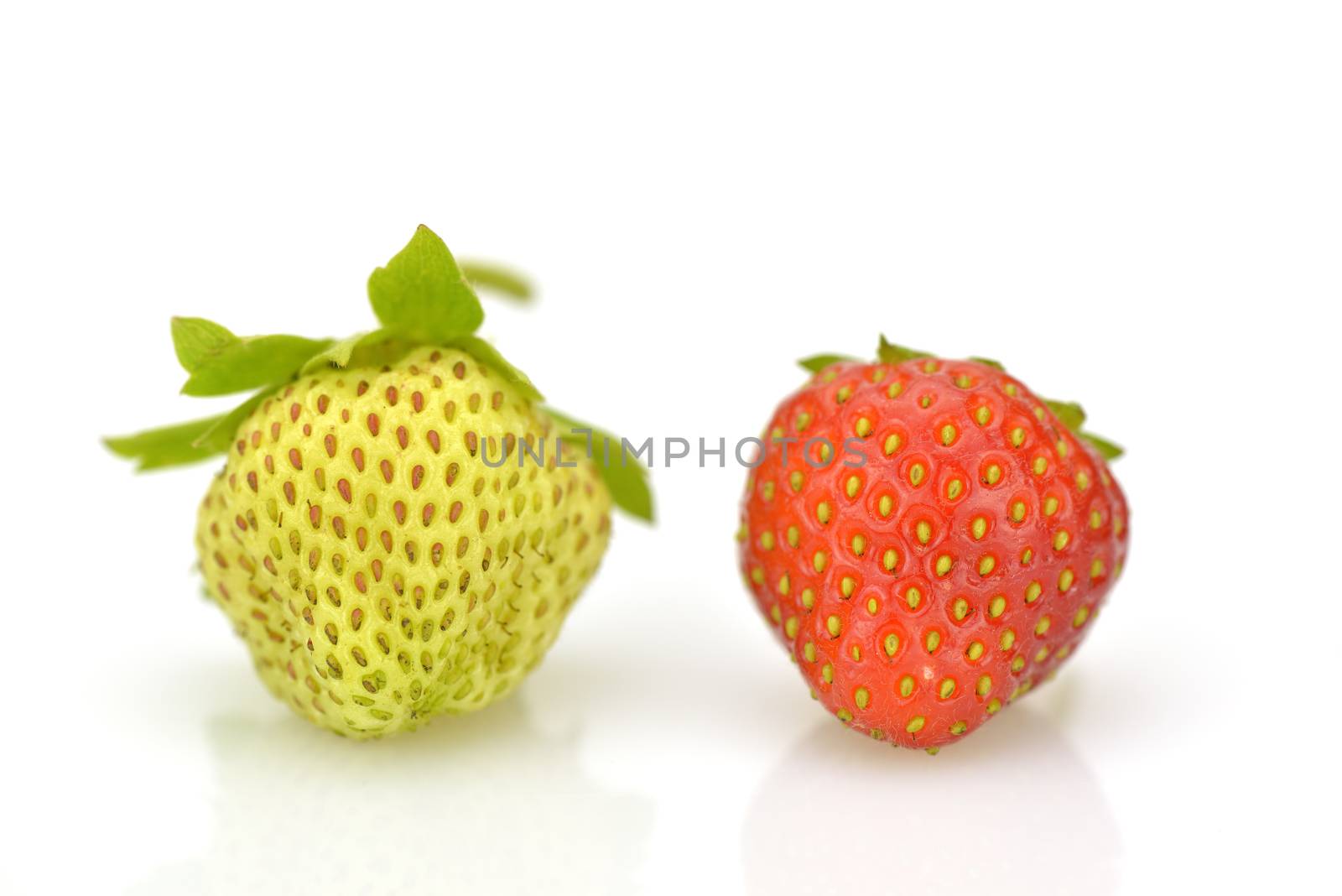 Ripe and unripe strawberries by Hbak