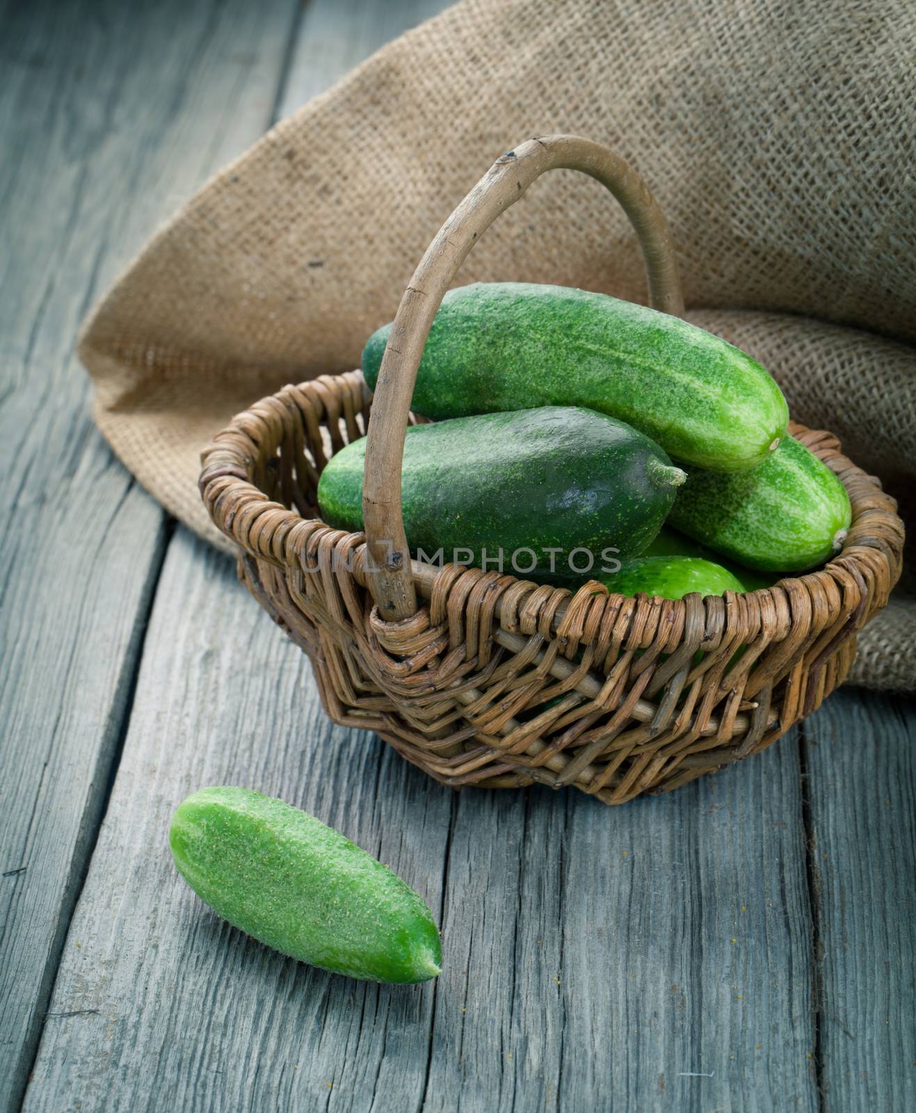 Harvest cucumbers in a basket on the wooden background by motorolka