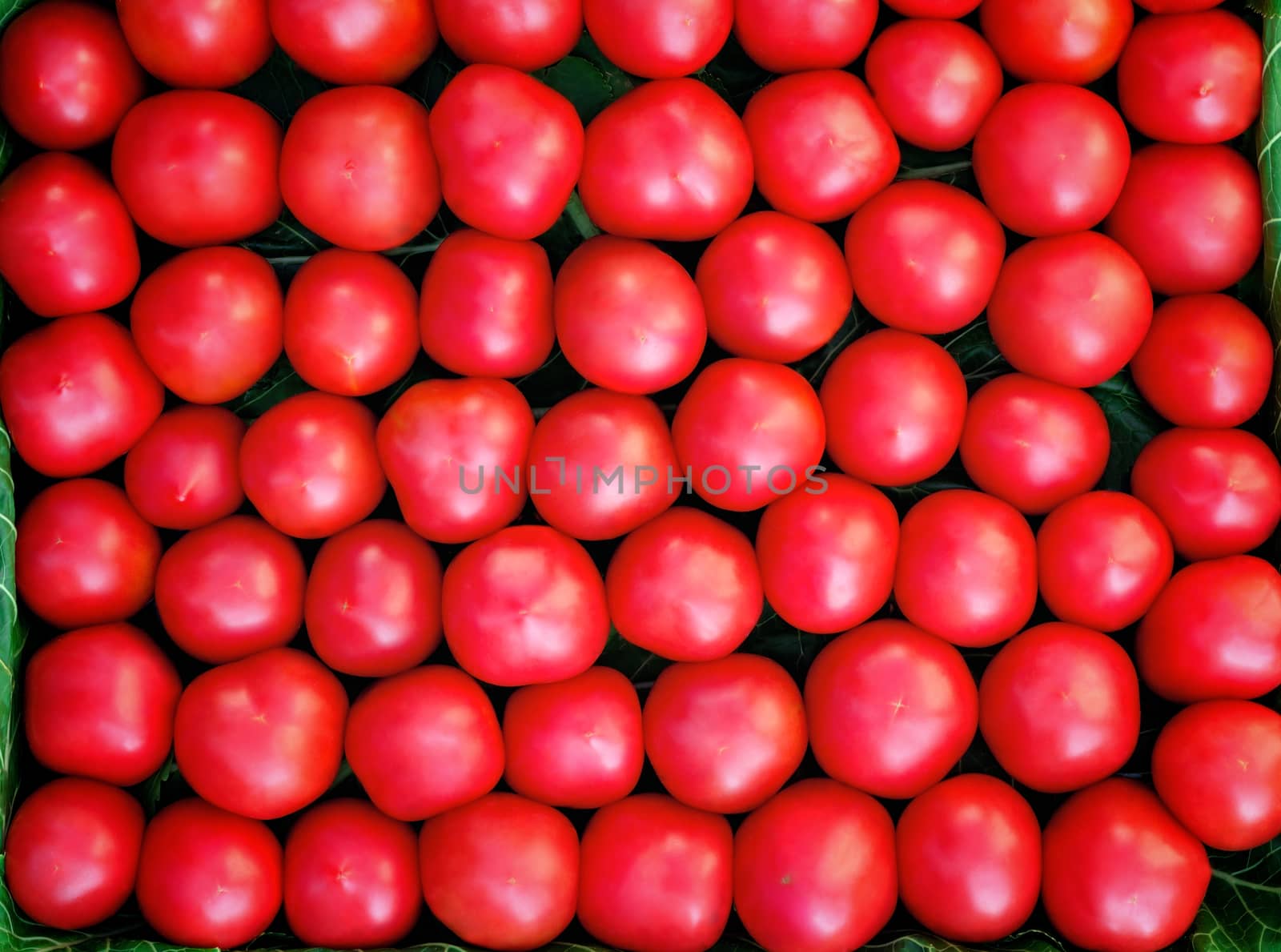 A large number ripe bright red tomato lie on a shop show-window.