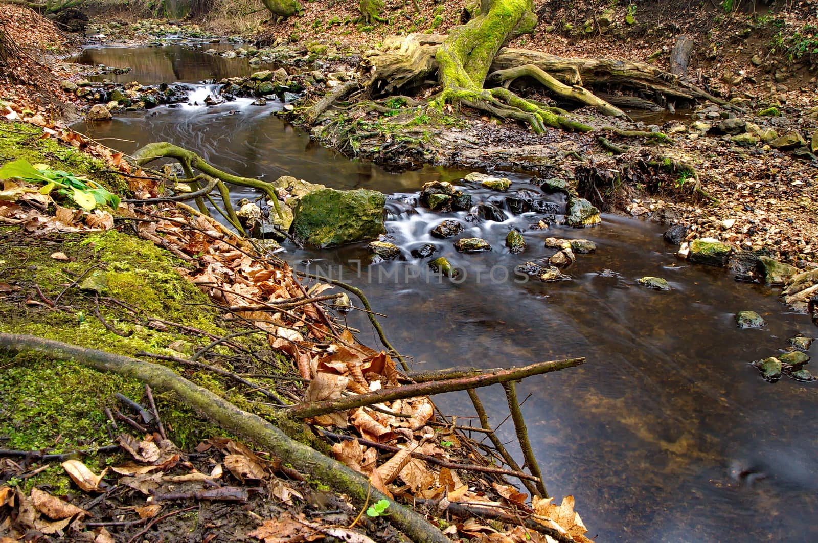 Stream flowing in the forest by anderm