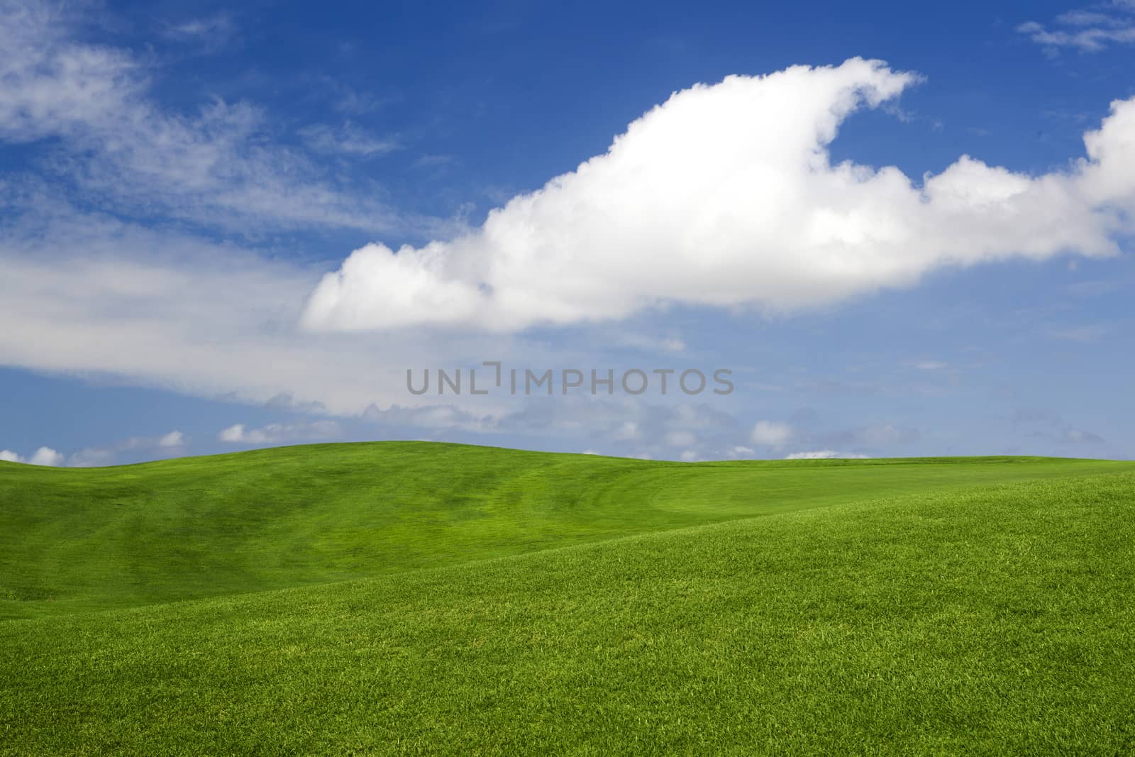Beautiful green landscape by Iko
