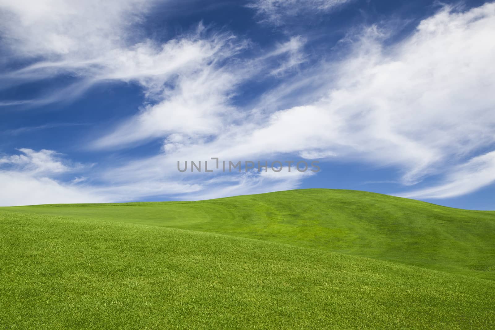 Beautiful green landscape by Iko